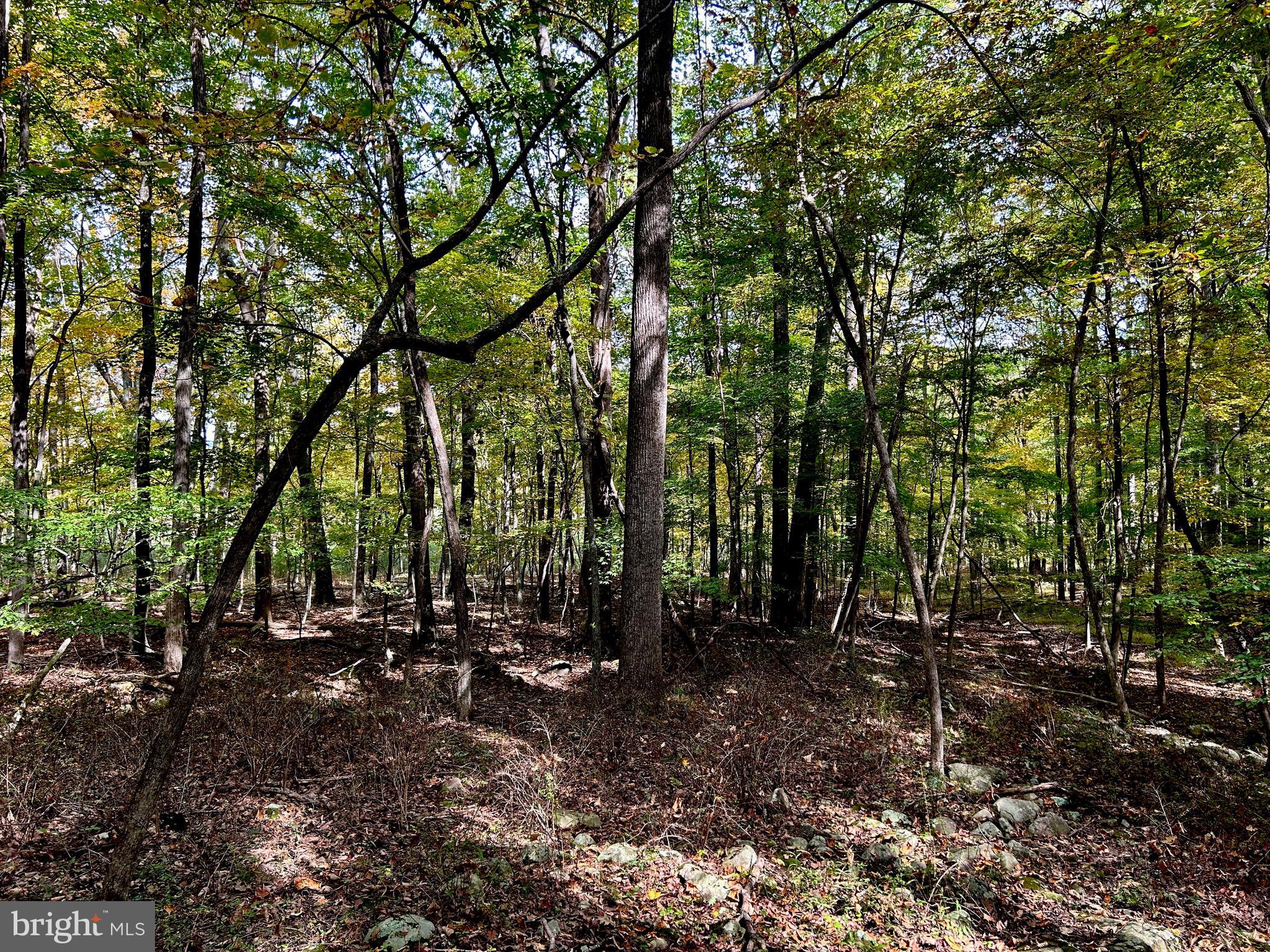 THUNDERBIRD HILLS - Land