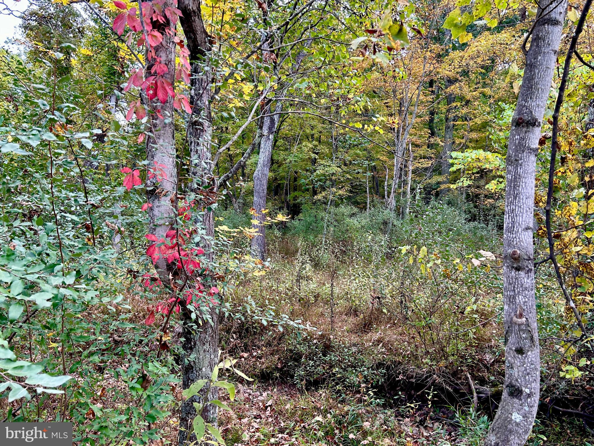 THUNDERBIRD HILLS - Land