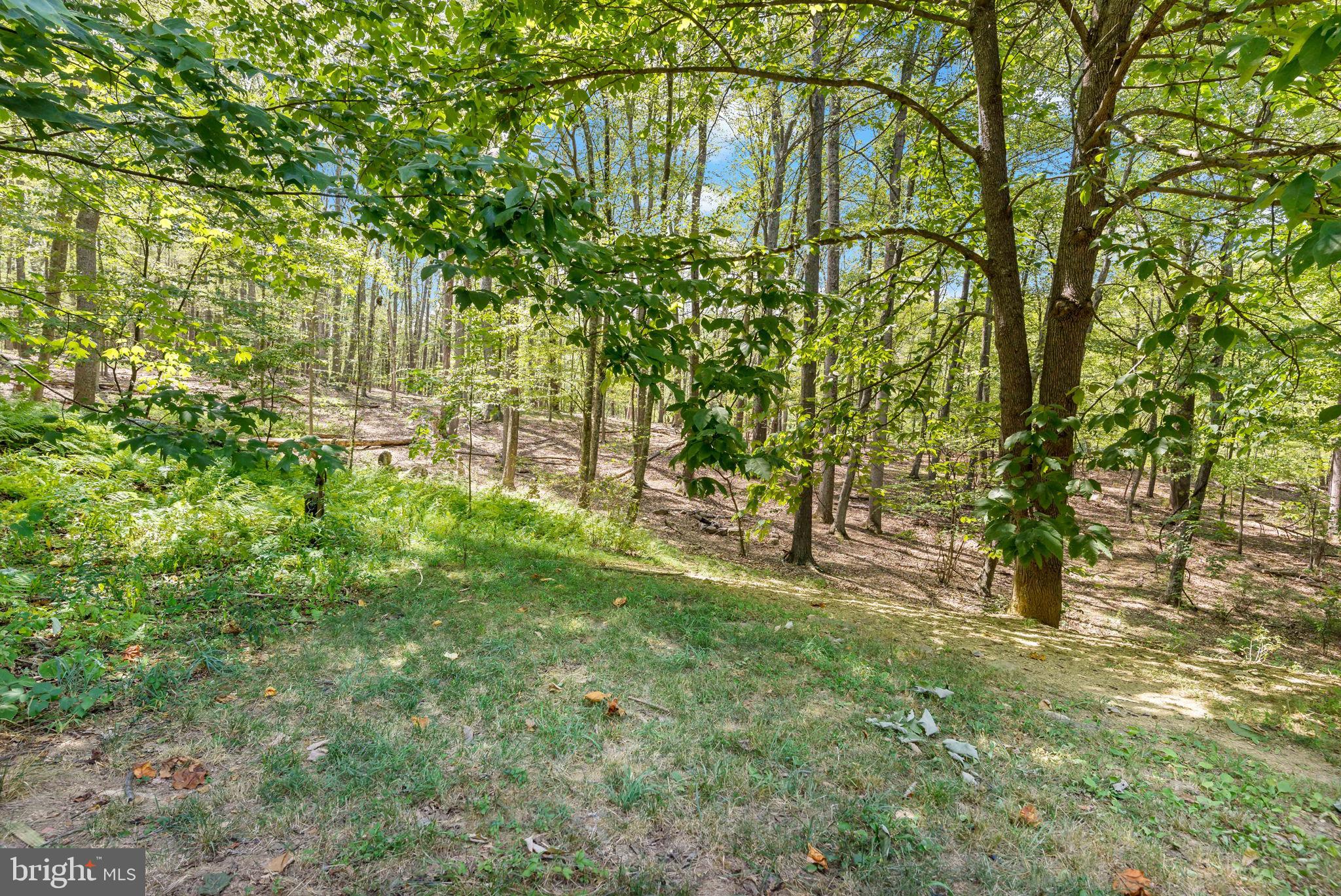 CACAPON RIVER RAPIDS - Residential