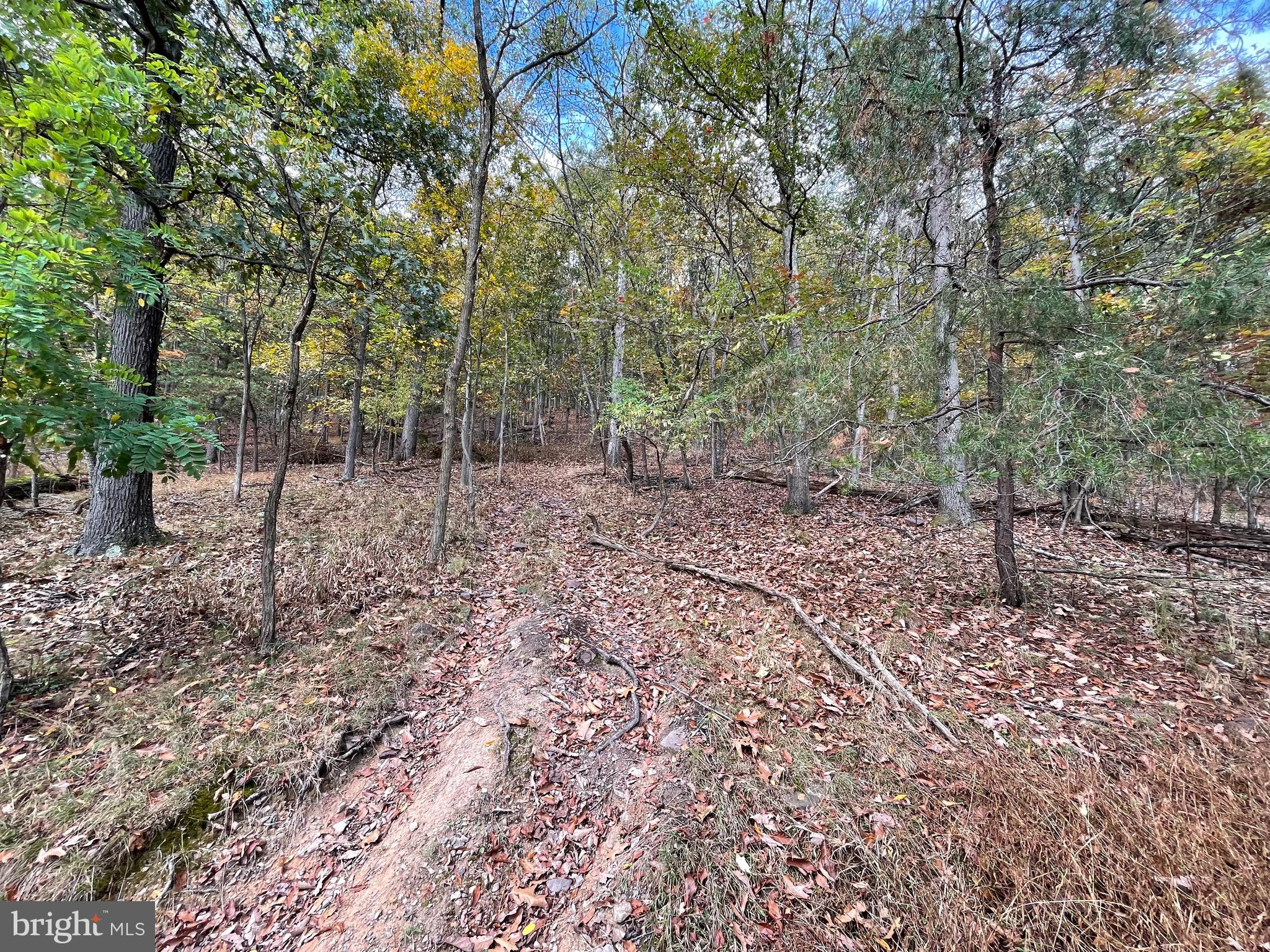 BOWLING GREEN - Residential