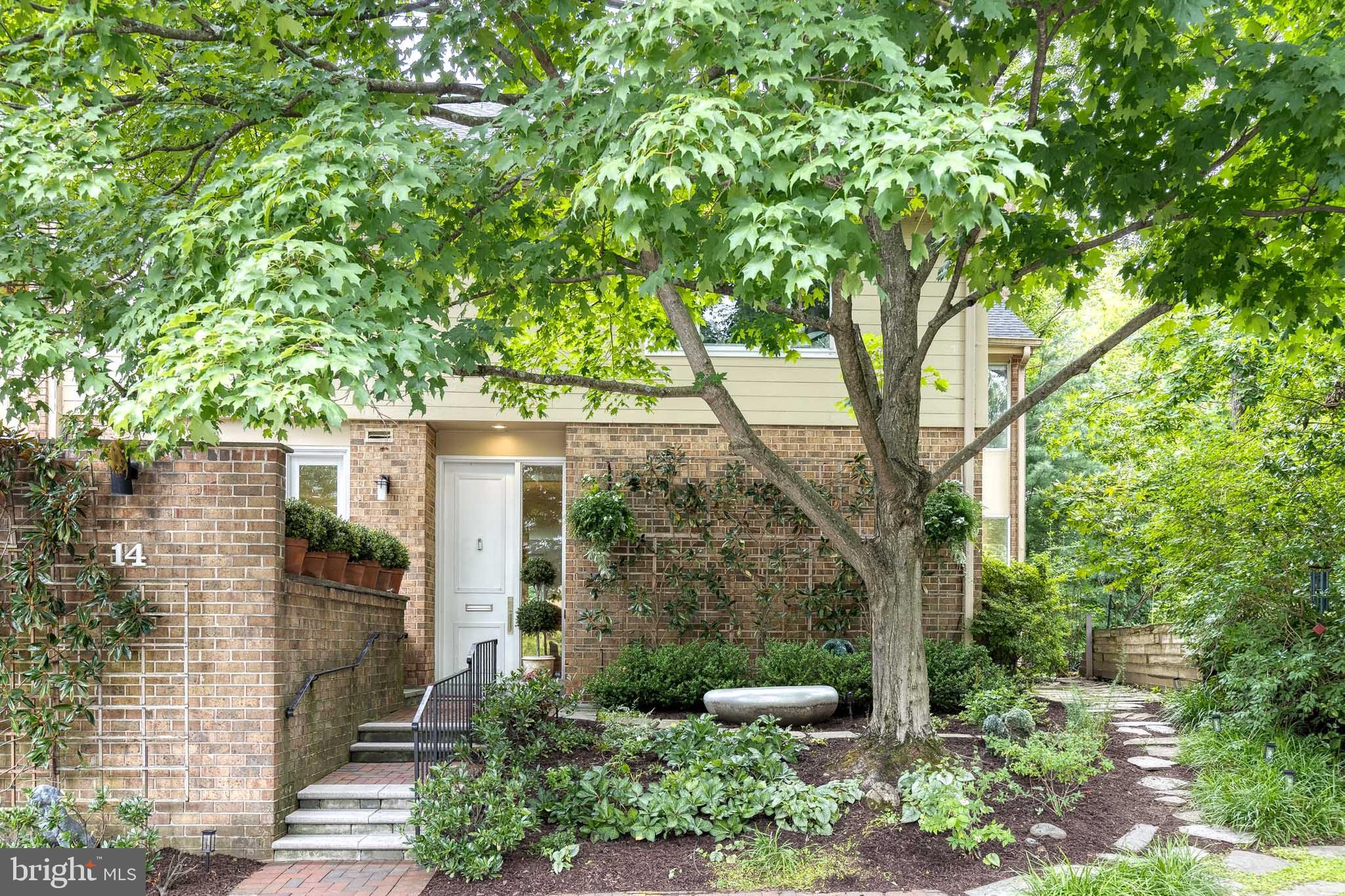 14 ROLAND MEWS