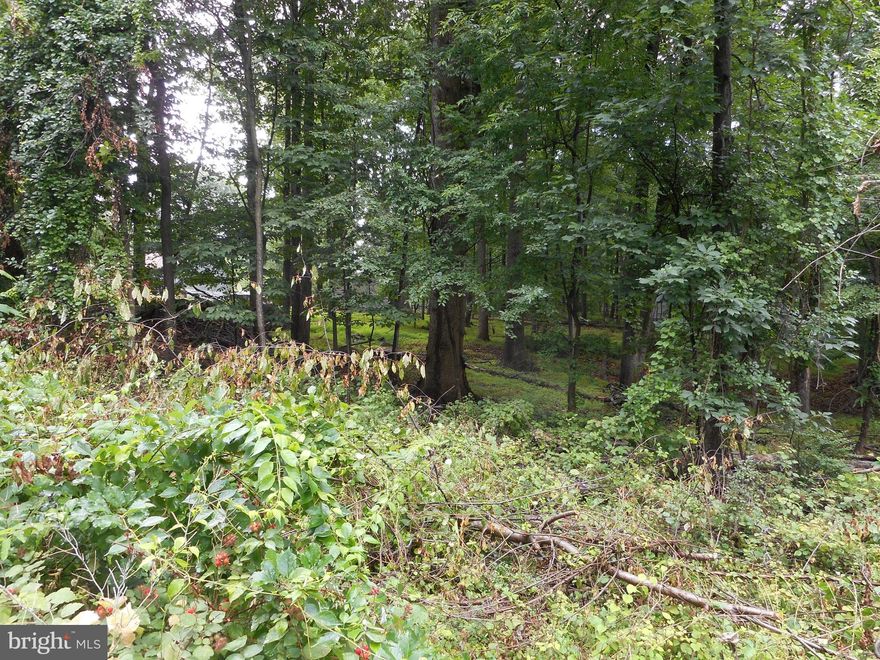 Great . 73ac. building lot in Shannondale, one block off Johnnycake La, 200' of road frontage , low traffic state maintained road with no HOA fees. 3BR septic permit is issued and current. Located in Shannondale, just a mile from the lake and club.Build your new home here. Note: sign is at top of lot and lot extends 200'