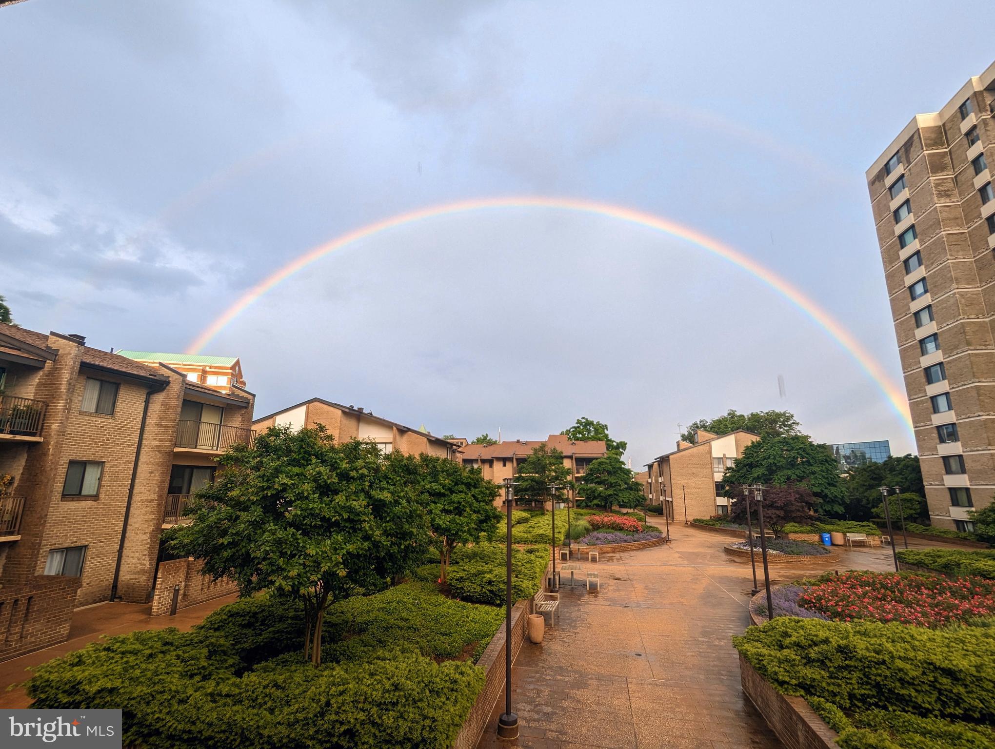 AMERICANA CENTRE - Land