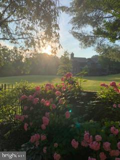 THE FALLS GARDEN - Residential Lease