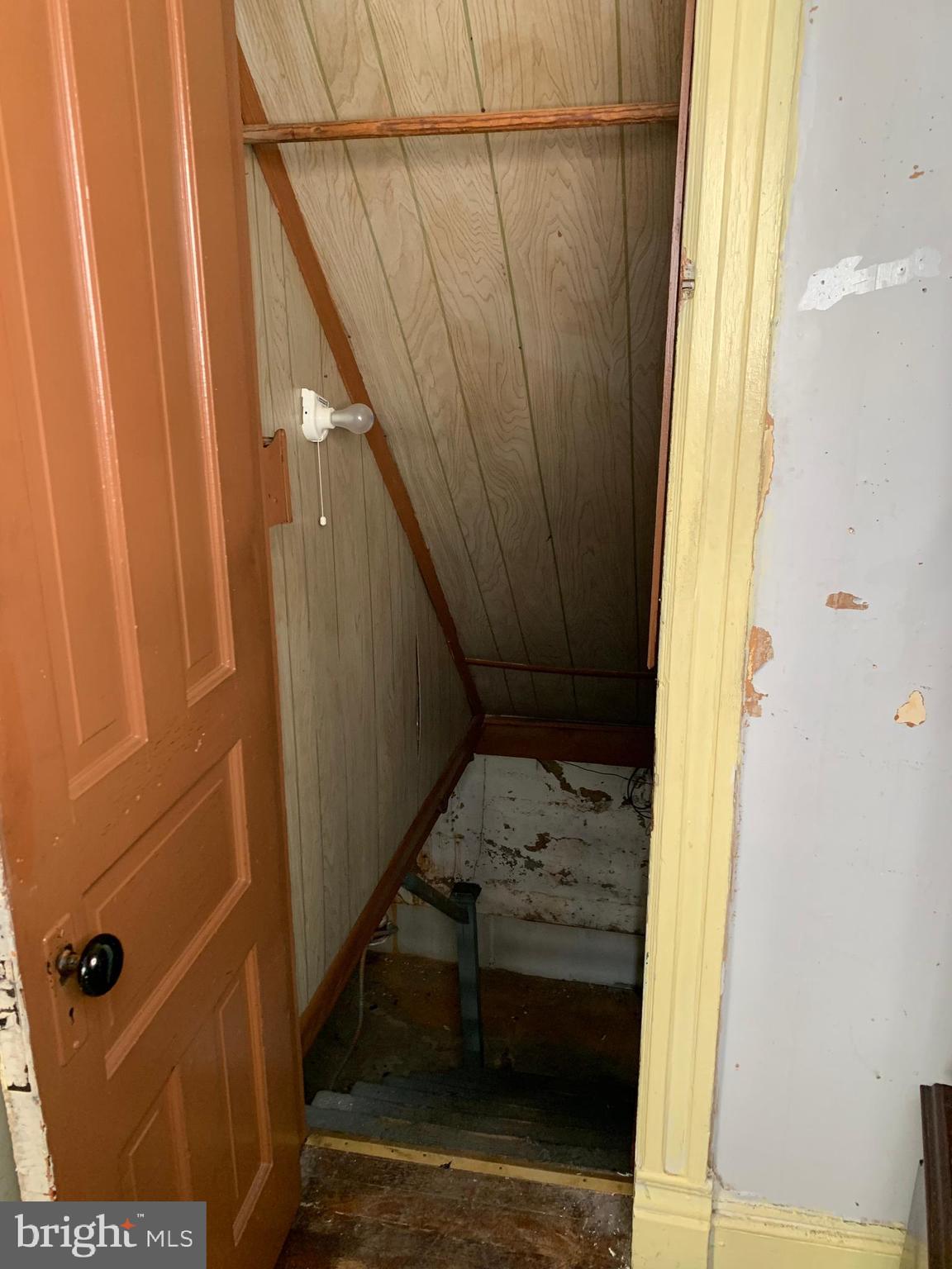 MT RAINIER - Residential