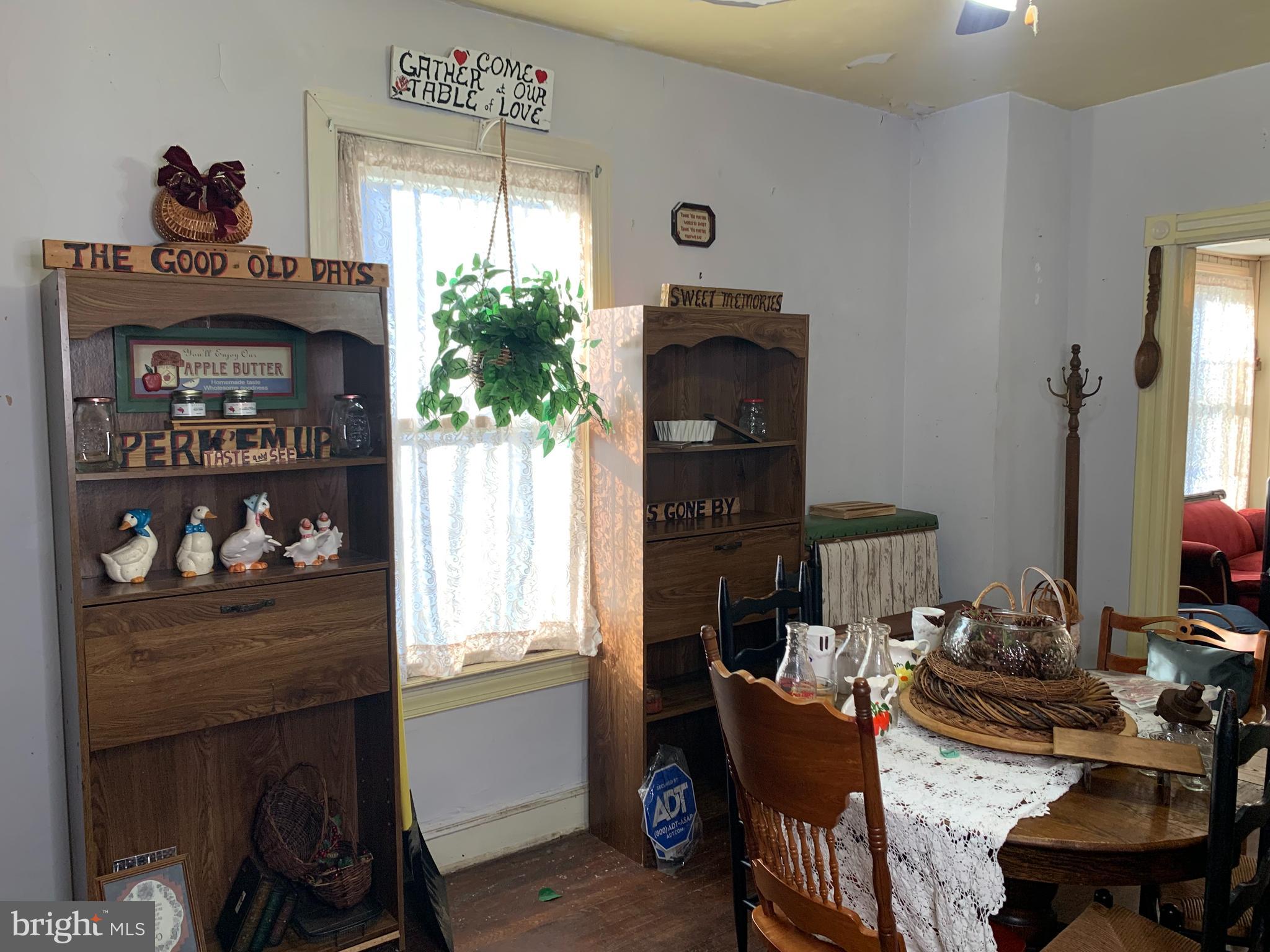 MT RAINIER - Residential