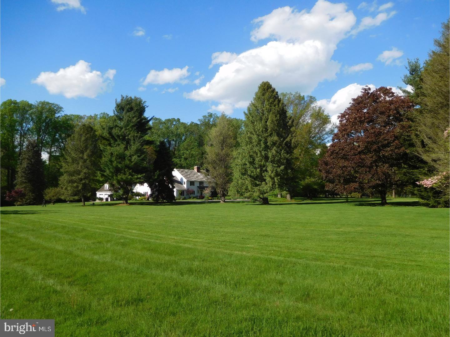 RADNOR HUNT - Residential