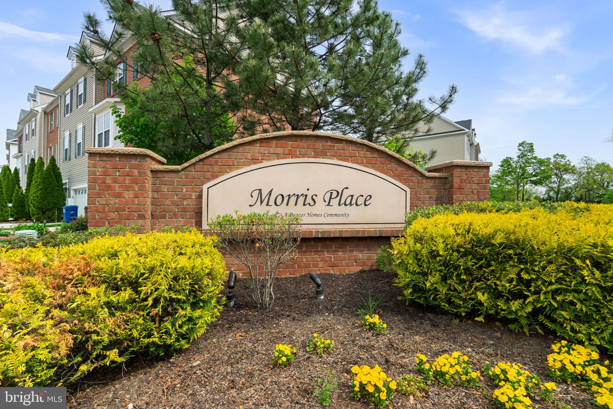 MORRIS PLACE - Residential