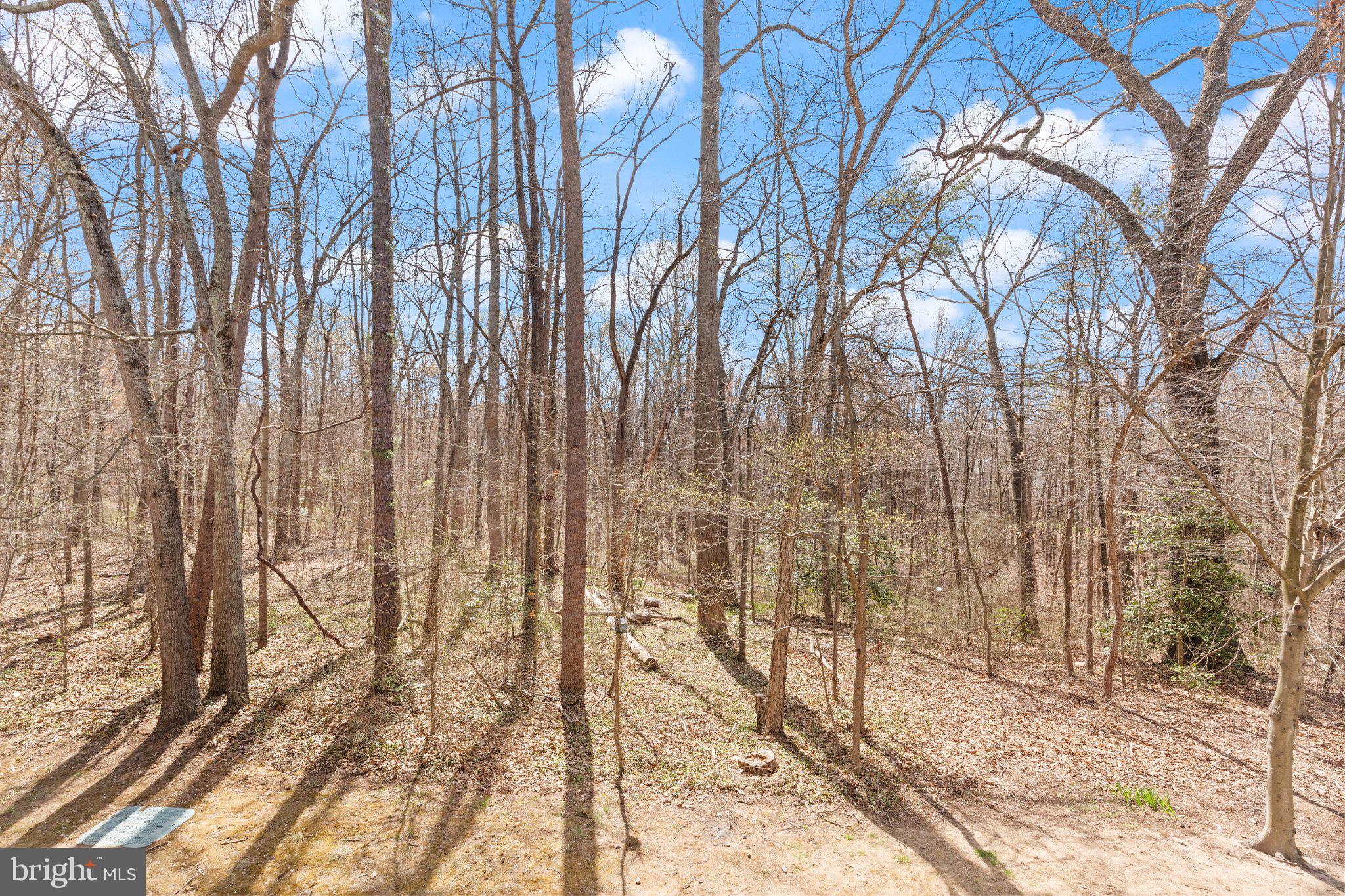 PINEY ORCHARD - Residential