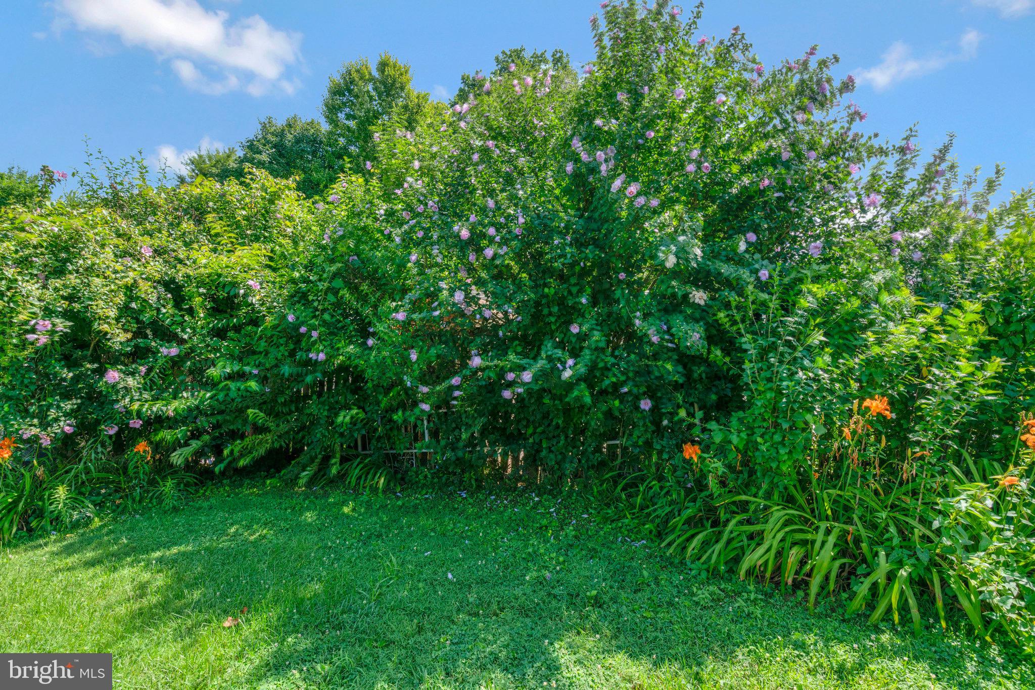 ANNALEE HEIGHTS - Residential