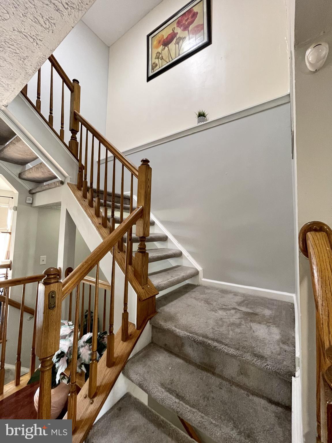 BRANTWOOD AT WHITEMARSH - Residential