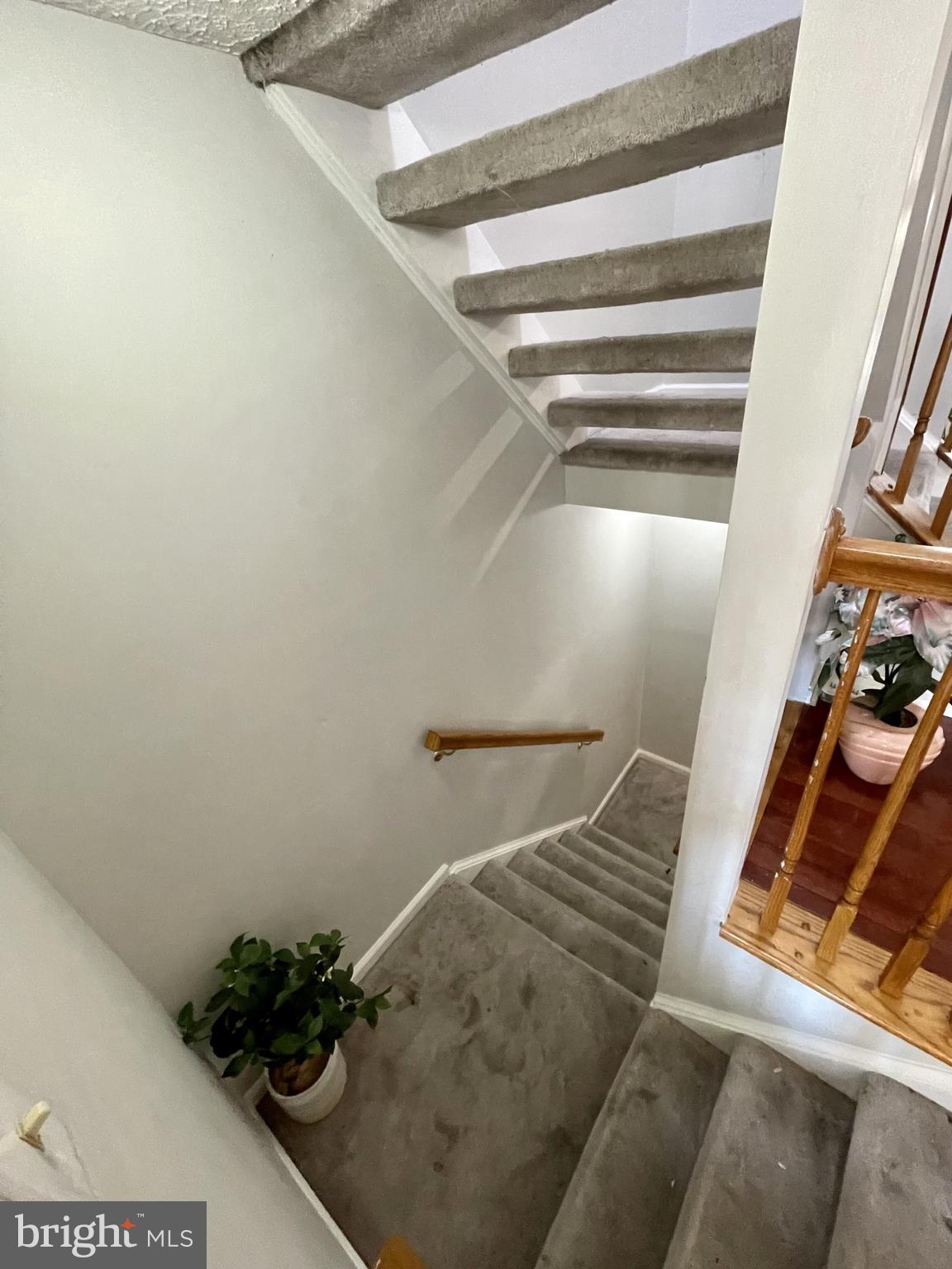 BRANTWOOD AT WHITEMARSH - Residential