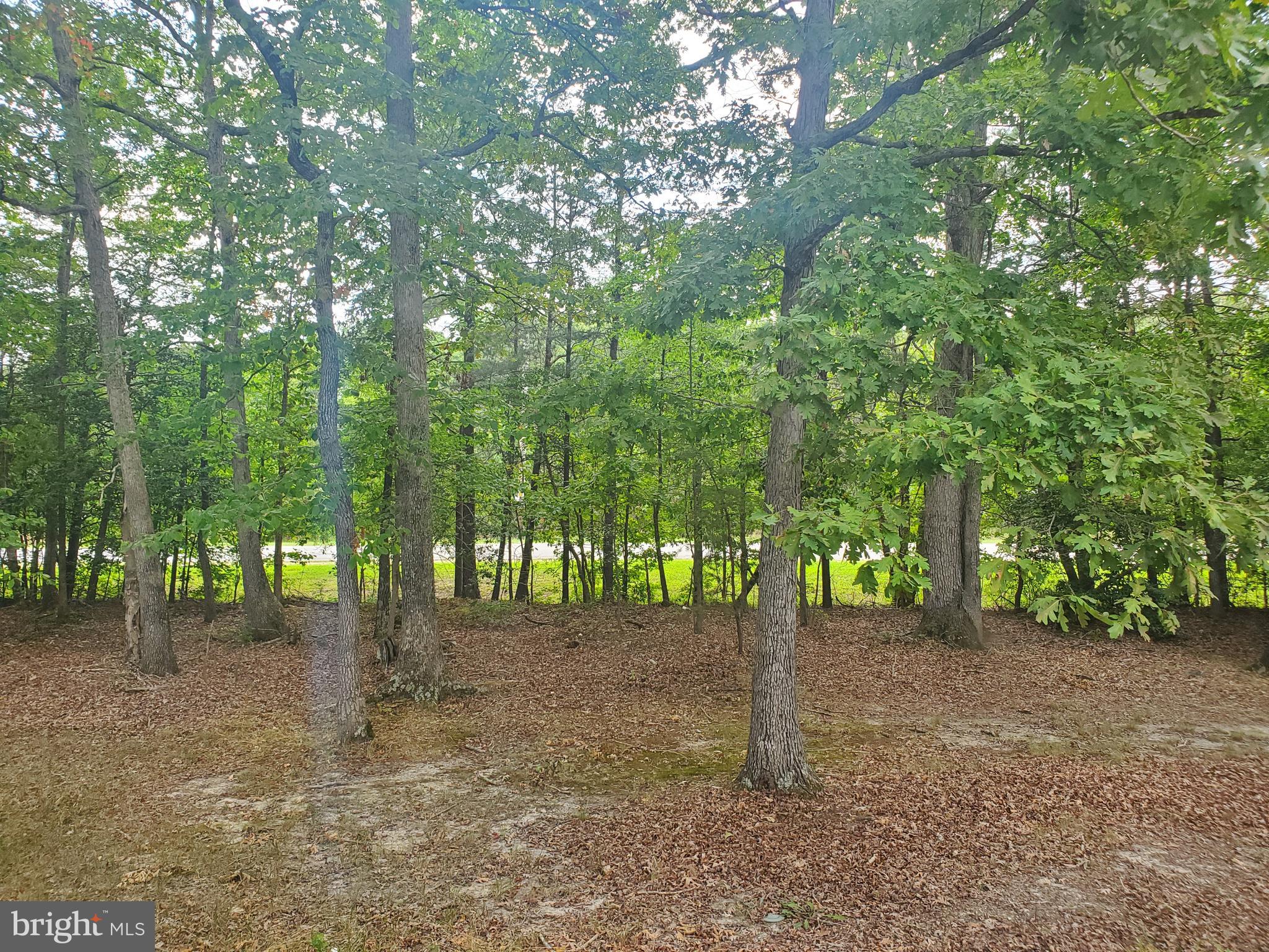 WHITE OAK VILLAGE - Residential