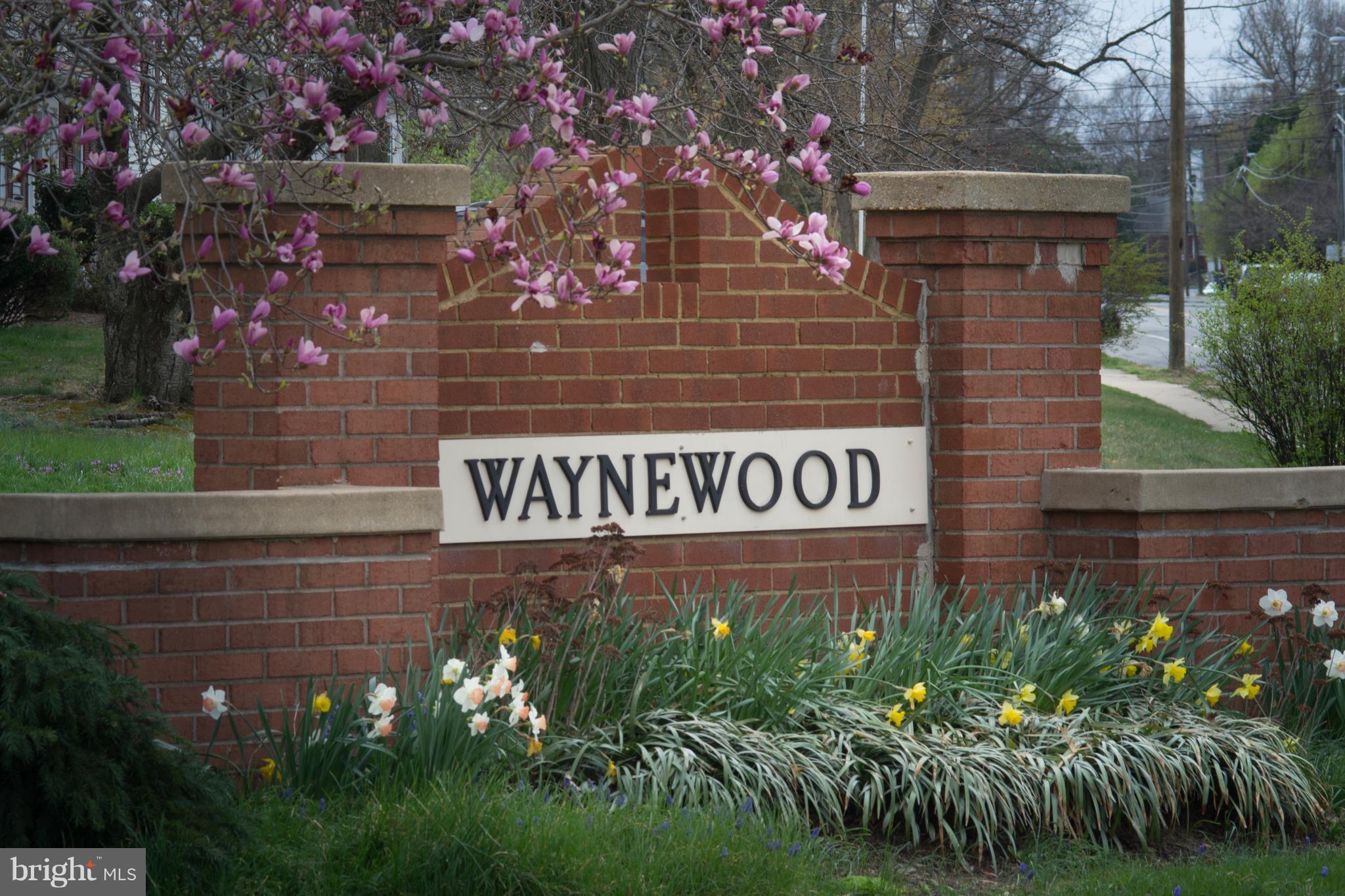 WAYNEWOOD - Residential