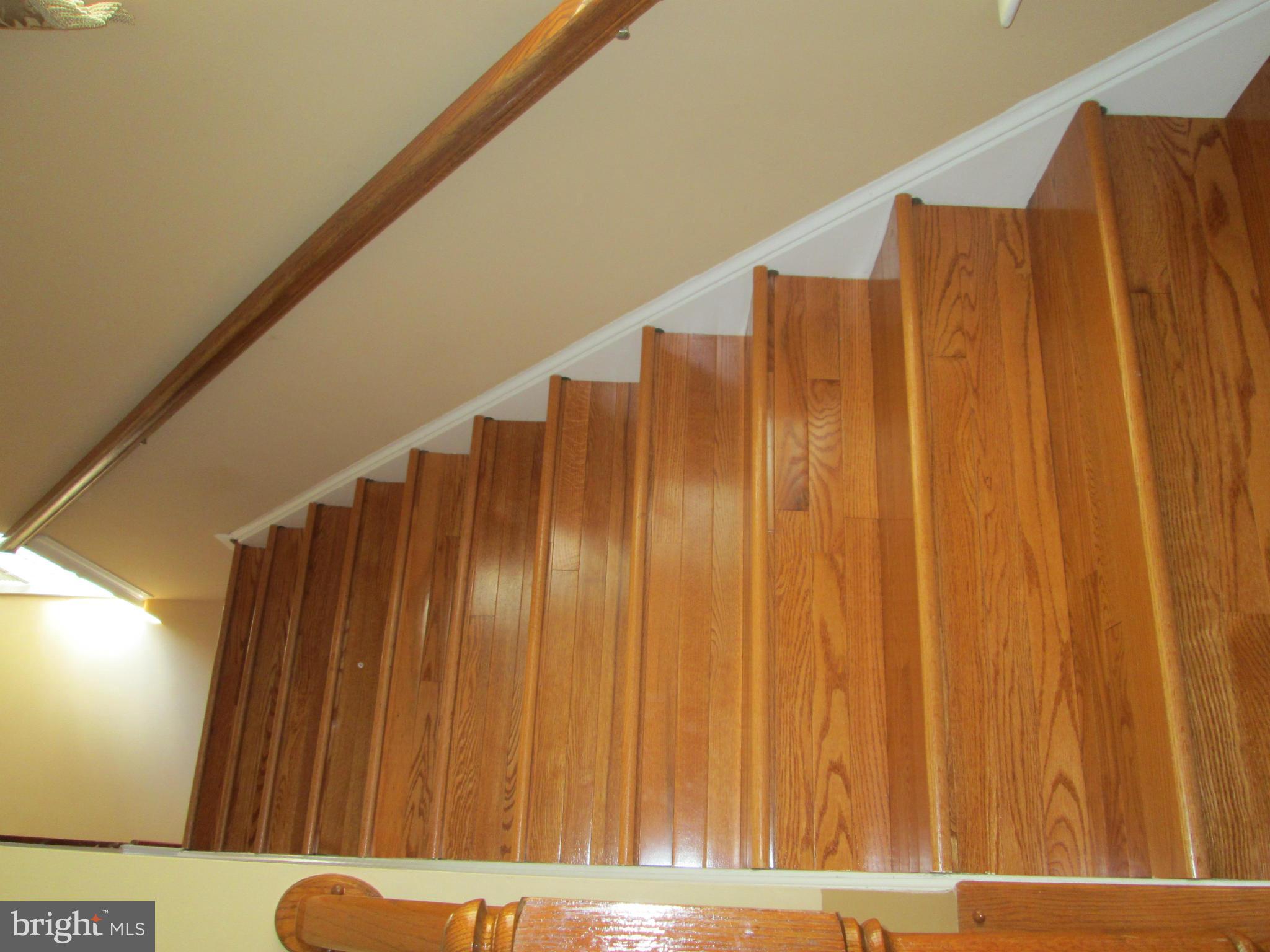 BELMONT STATION - Residential