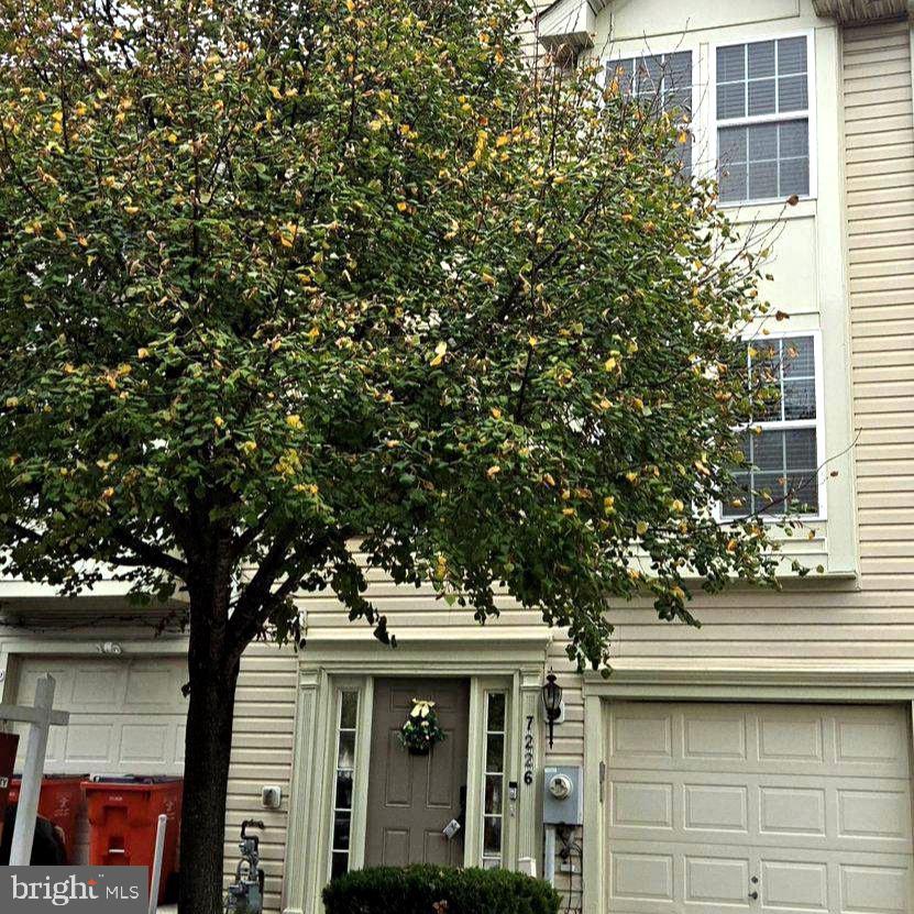 7226 MAIDSTONE PLACE 235