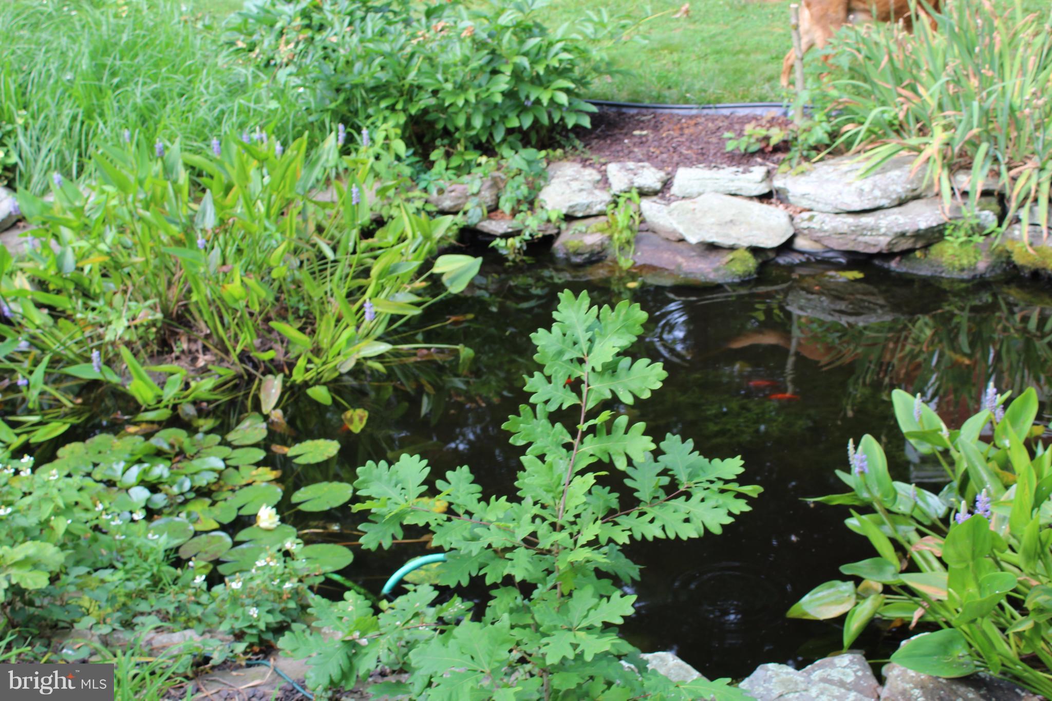 HILLMEADE MANOR - Residential