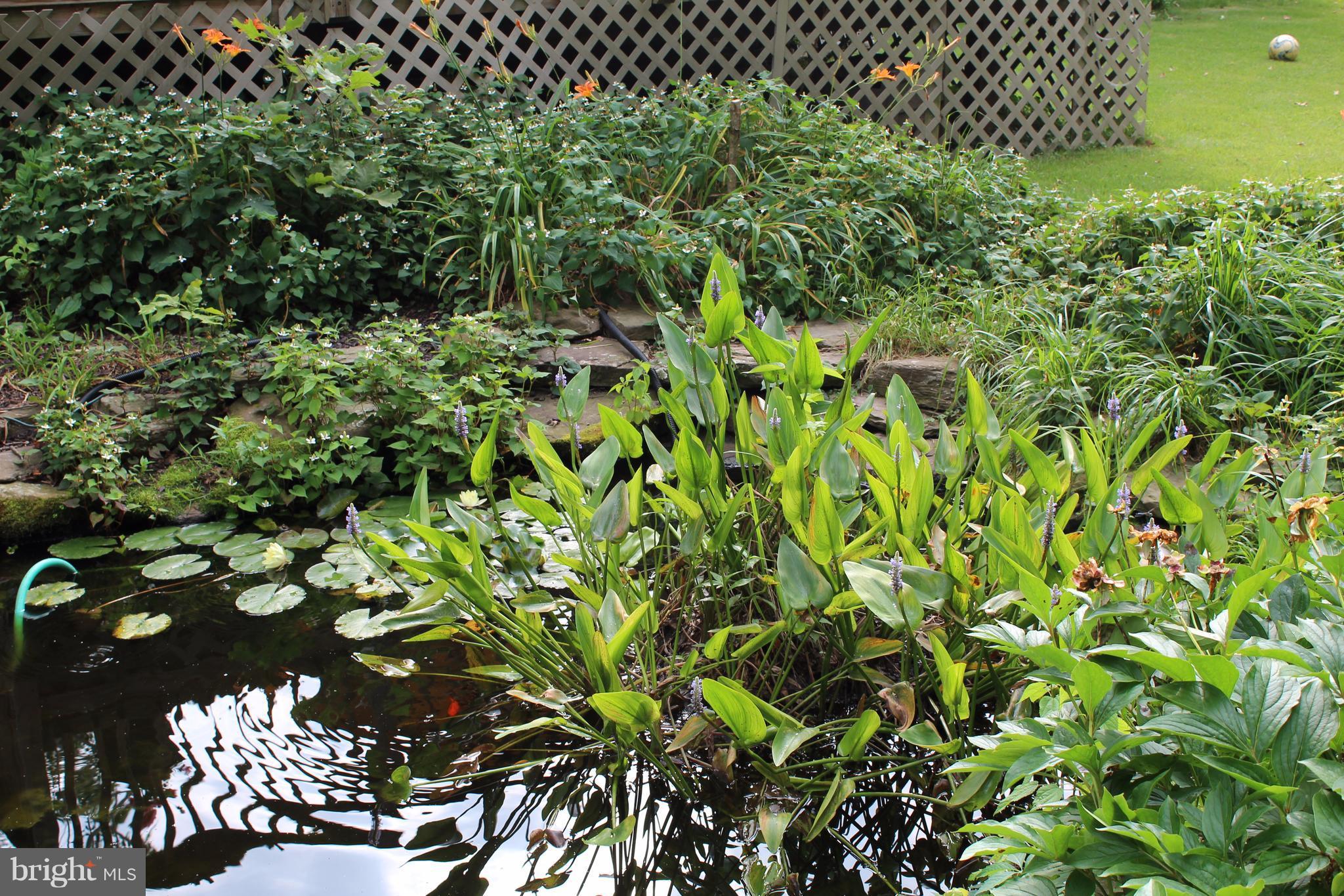 HILLMEADE MANOR - Residential