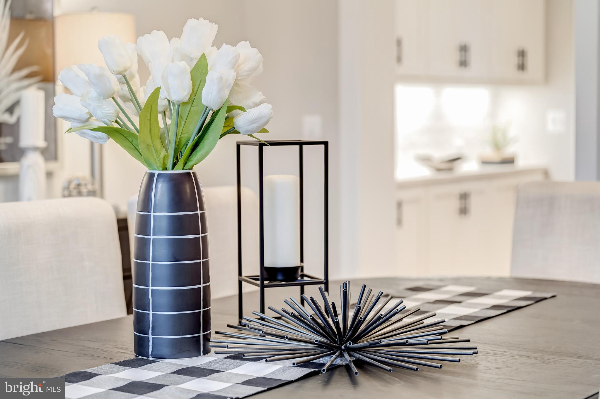 THE ENCLAVE AT AYLORS OVERLOOK - Residential