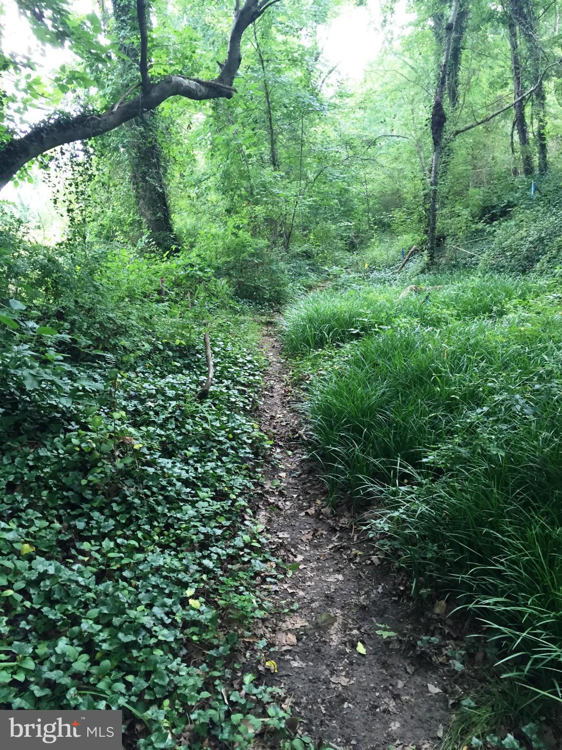 FALMOUTH - Residential