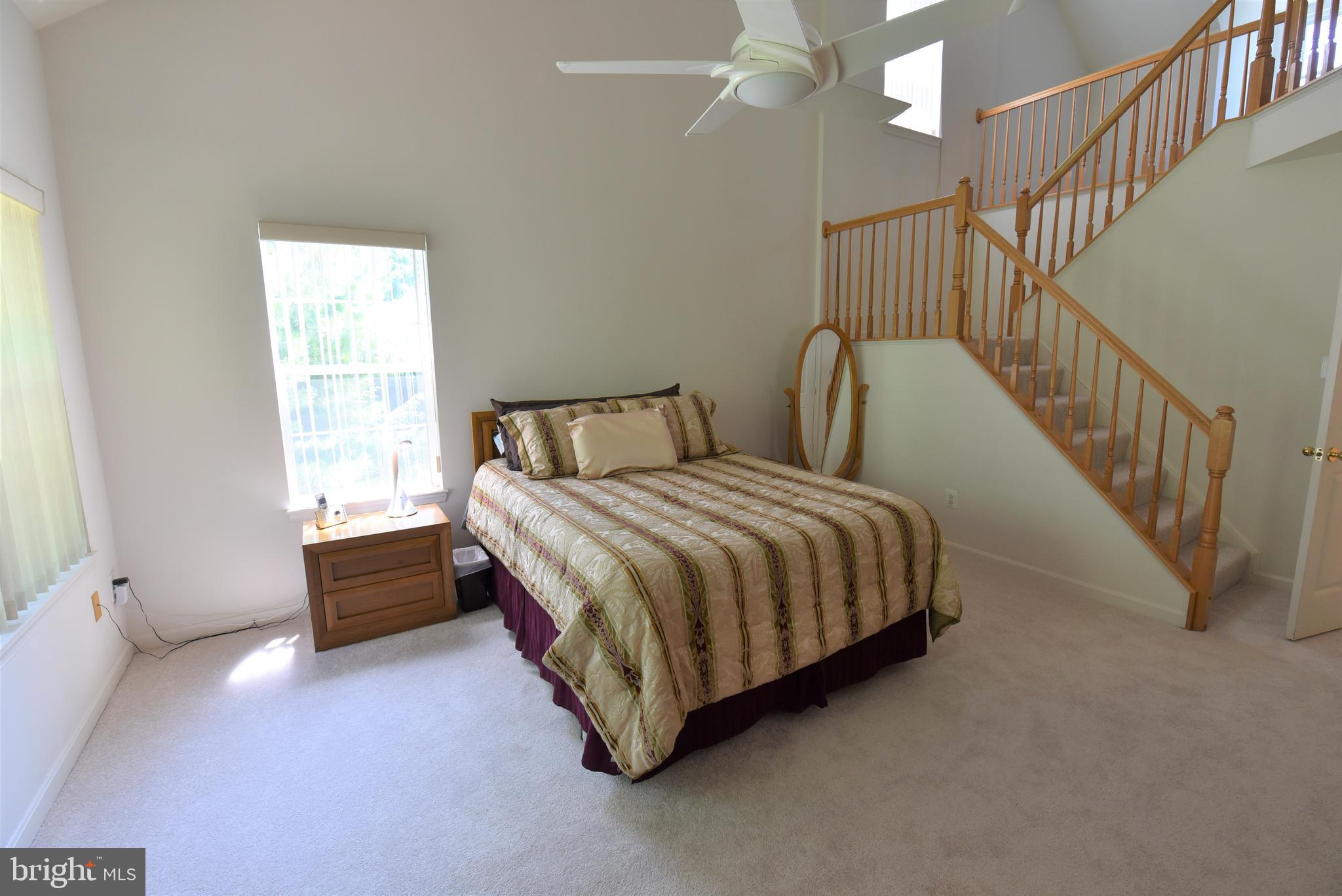 WINDSOR MEWS - Residential