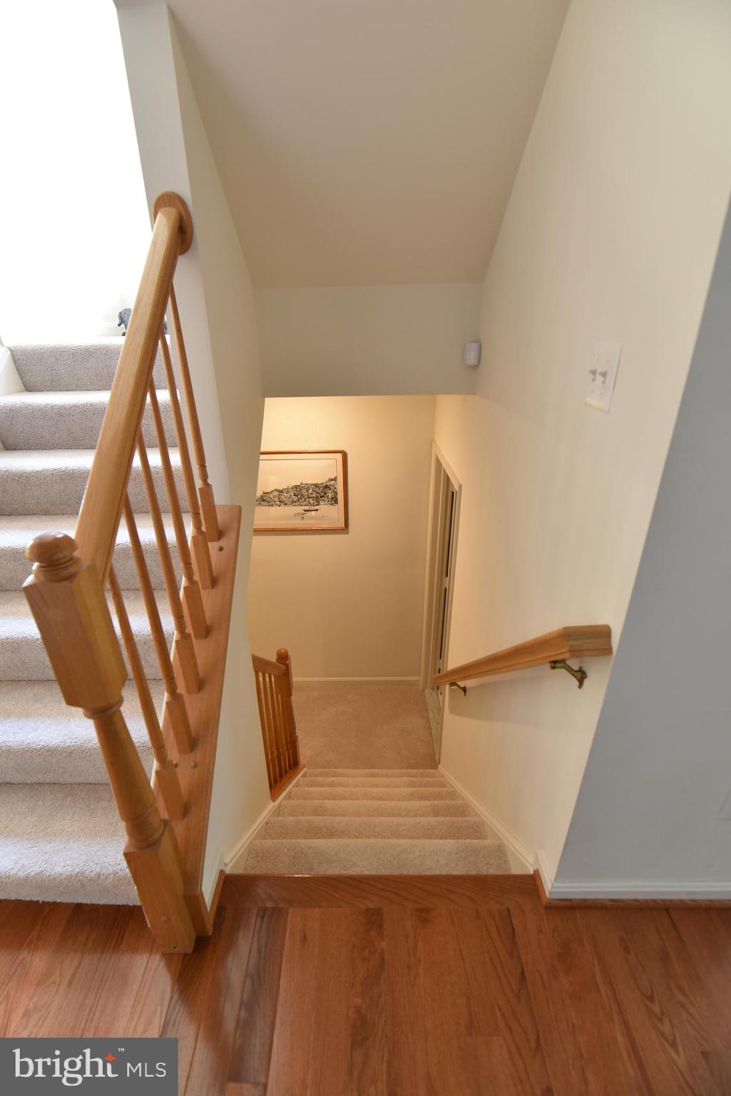 WINDSOR MEWS - Residential