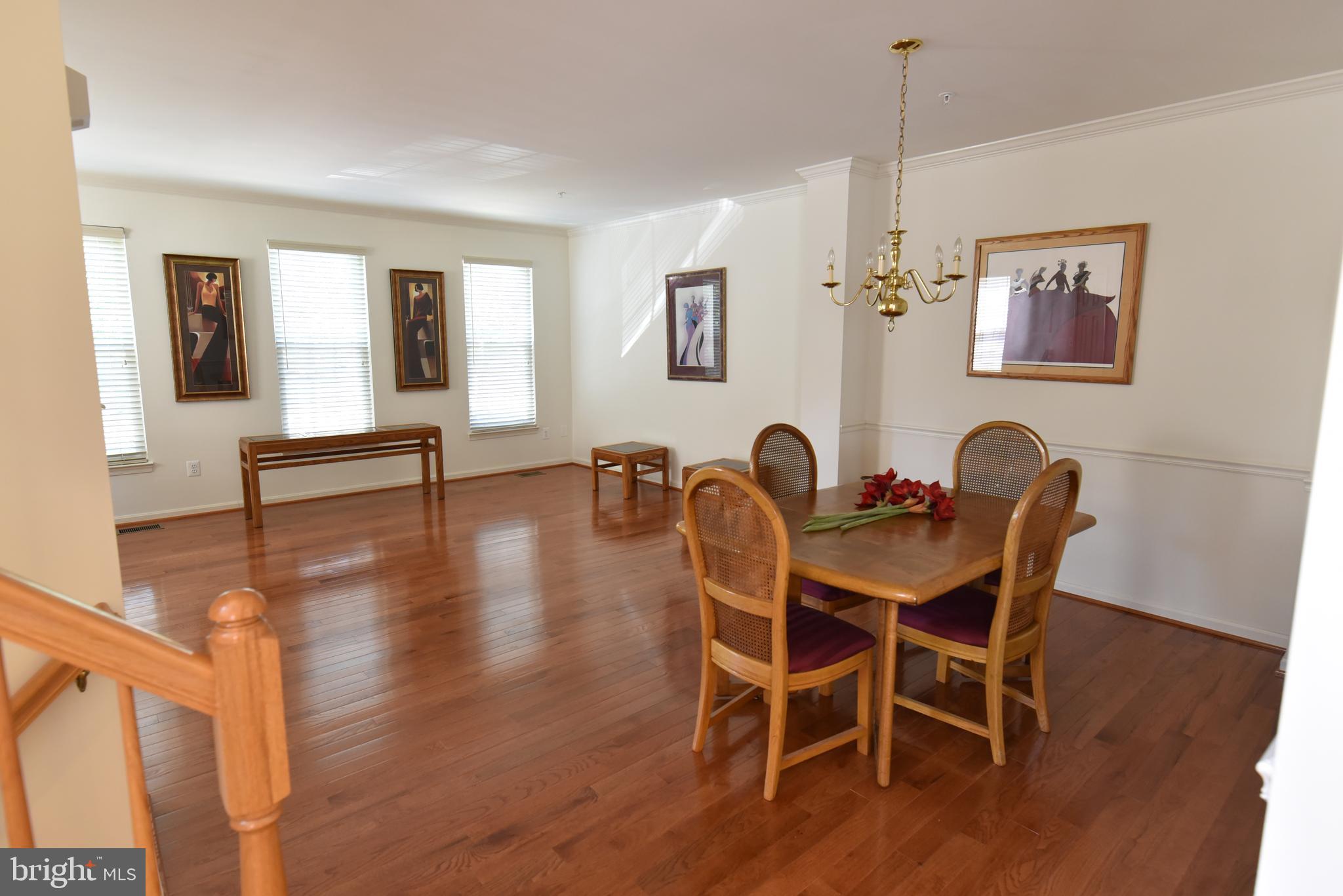 WINDSOR MEWS - Residential