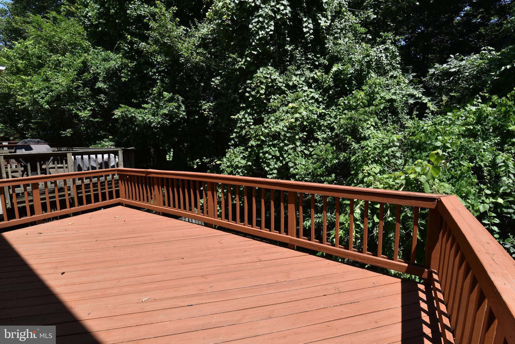 WINDSOR MEWS - Residential