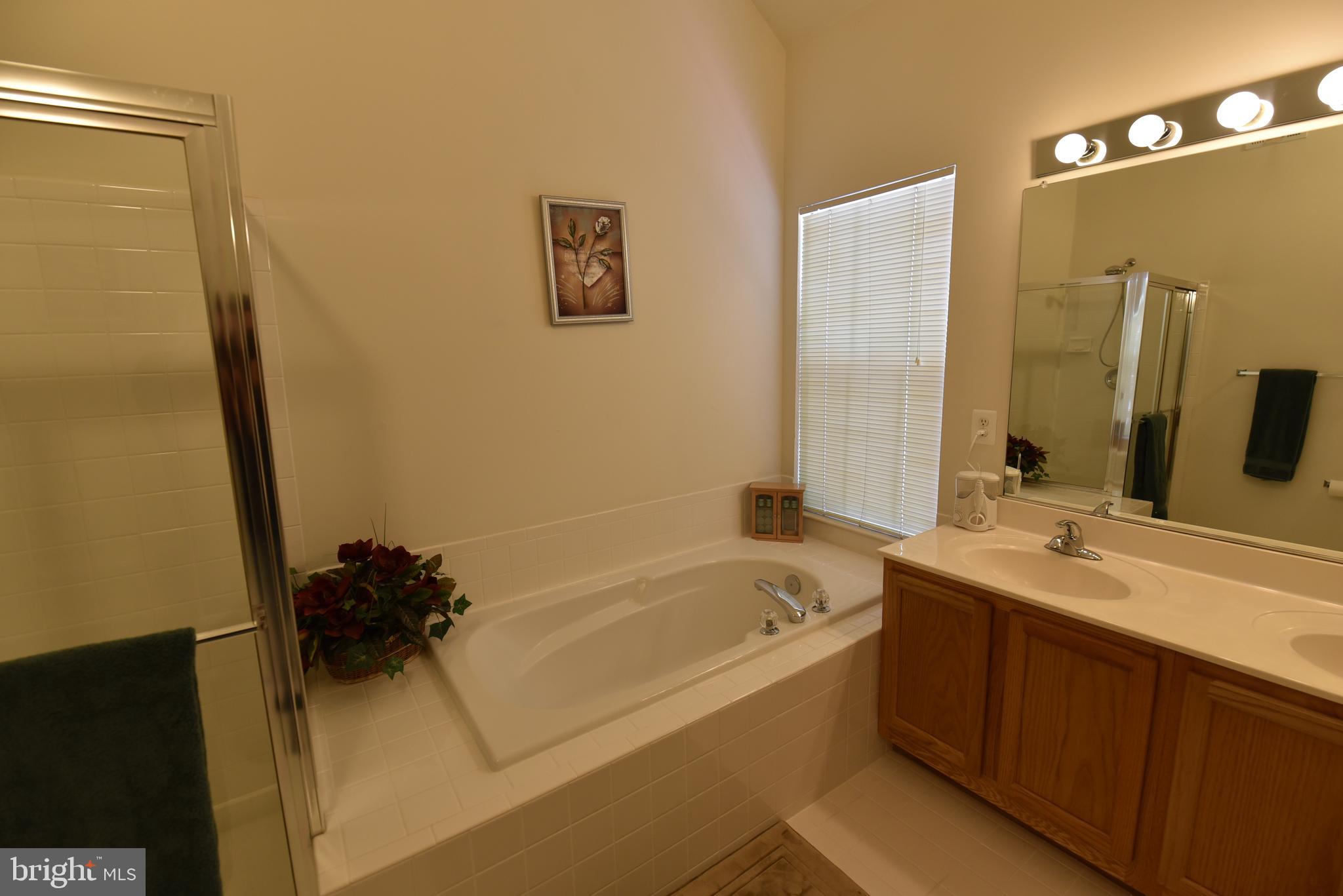 WINDSOR MEWS - Residential