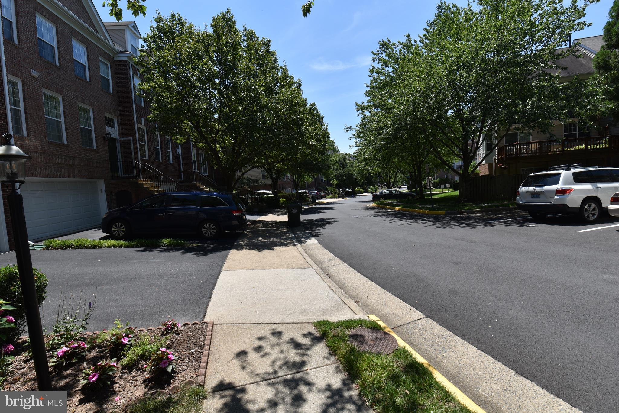 WINDSOR MEWS - Residential