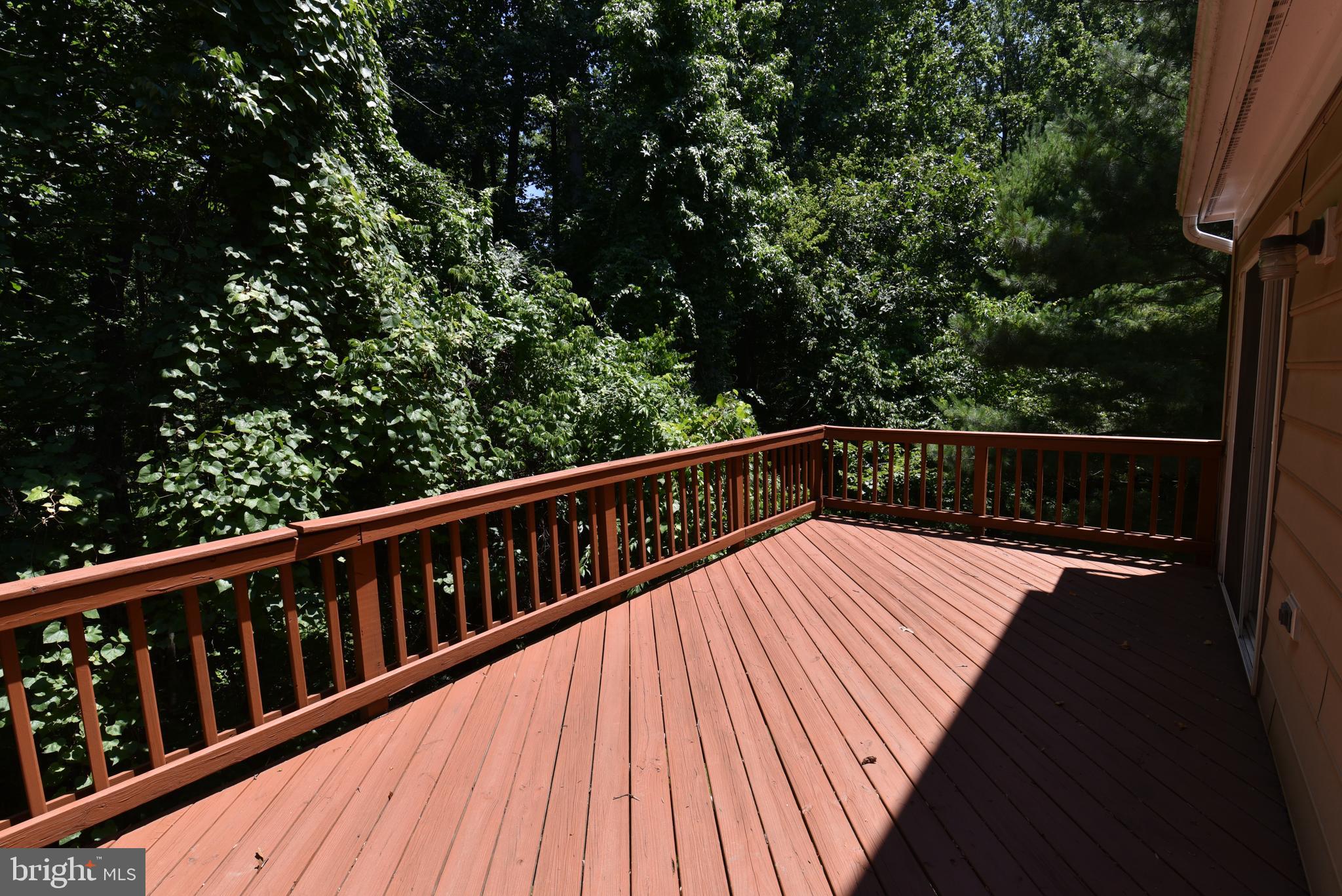 WINDSOR MEWS - Residential