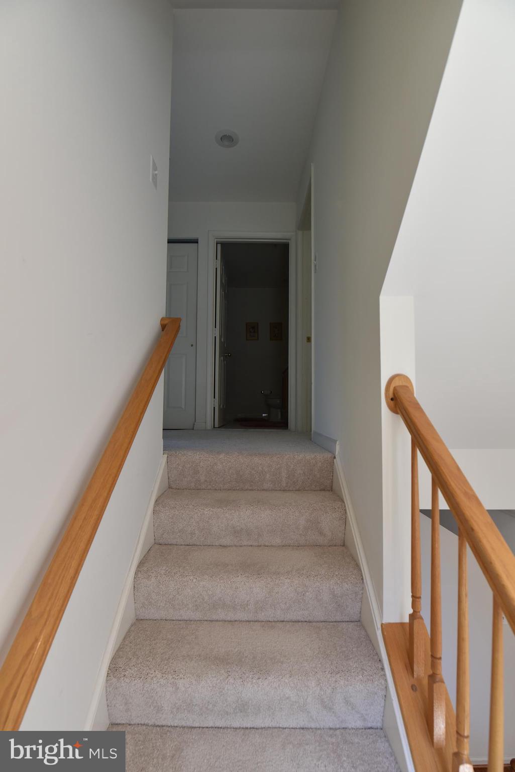 WINDSOR MEWS - Residential