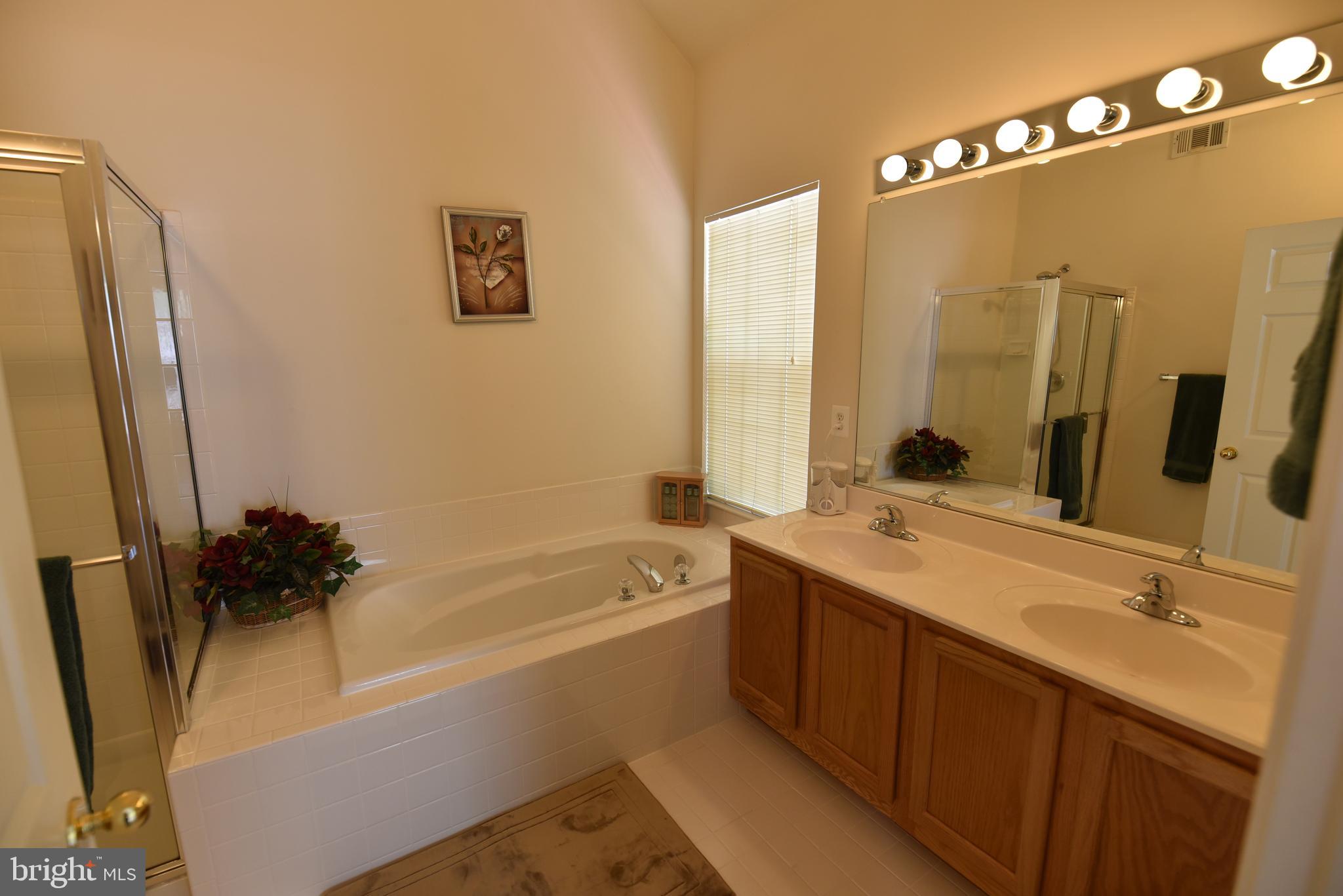 WINDSOR MEWS - Residential