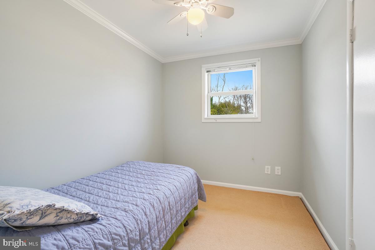 RANDOLPH HILLS - Residential