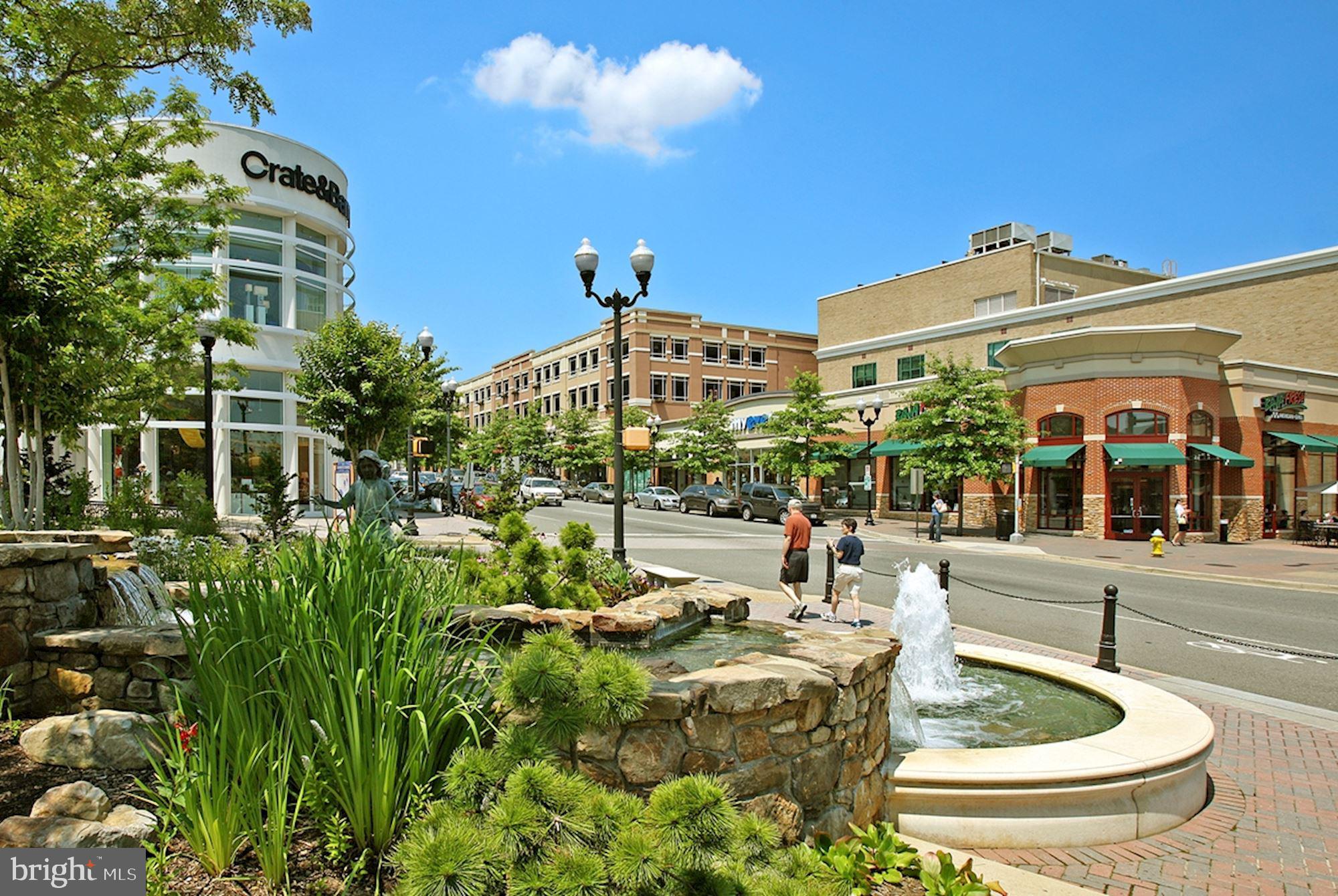 1800 WILSON - Residential Lease