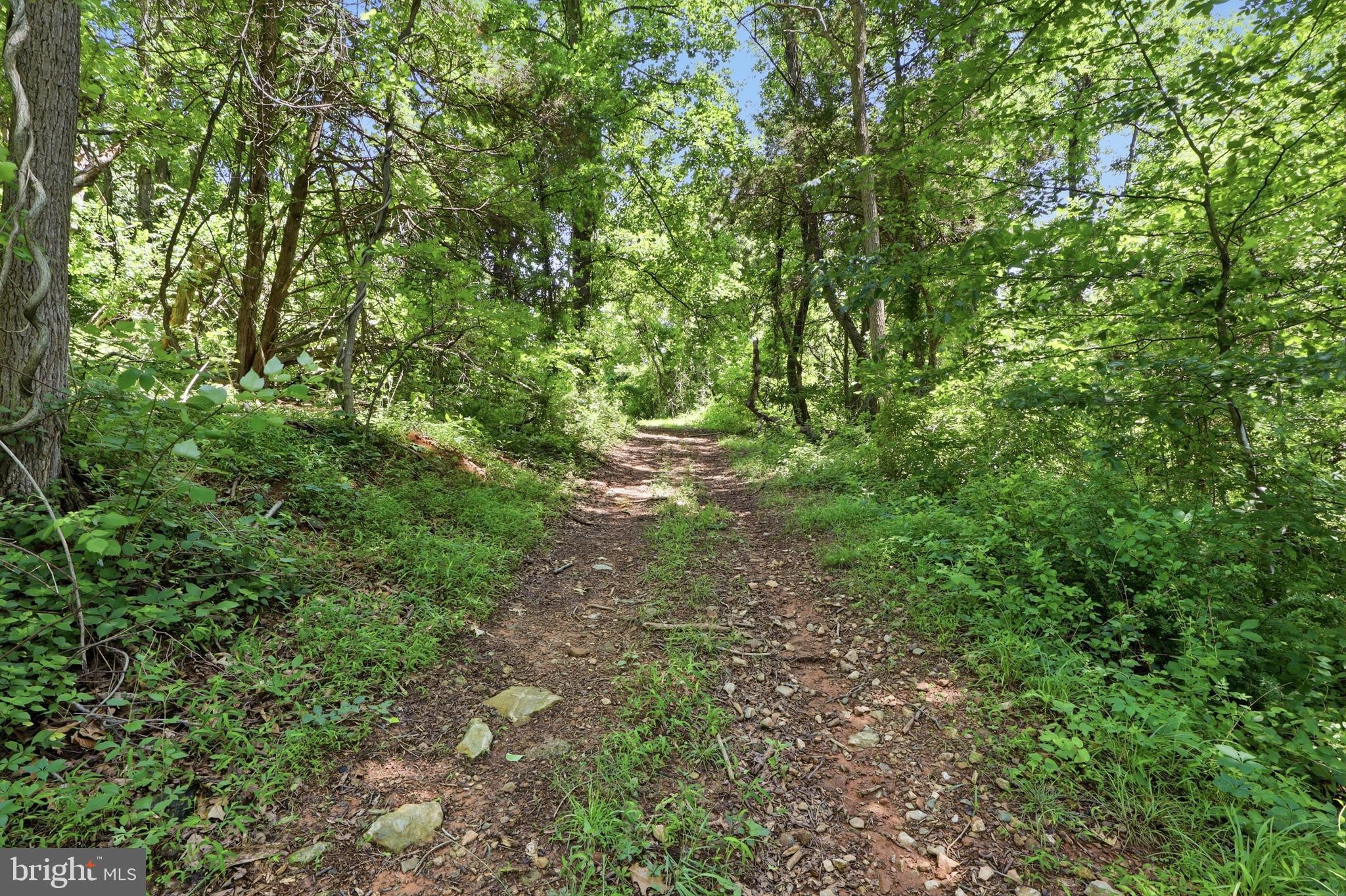 3555 MILL GREEN ROAD