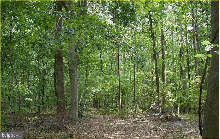 This is the perfect opportunity to build your home of choice and live, woodland farm or hunt on your own park-like setting, yet just 20 miles from Washington, D.C.!  Consisting of three individual parcels totaling  30.87+/- acres of mature woodland,  this piece of paradise is conveniently located within minutes of Waldorf for easy shopping and entertainment, or just a short drive to the National Harbor or MGM Casino and Hotel. Telecommute from home for work or enjoy the convenience of it's location  for commuting  to Washington DC., and Virginia. The privacy of what this property has to offer will bring harmony and balance to life's day to day challenges!
      The Seller has a 2024 Passing percolation test  and  all three parcels are being sold together. Located on the western perimeter of the Maryland Wineries Association's, "Legacy Wine Trail" and just minutes away from the Merkle Wildlife Sanctuary, the Jug Bay - Patuxent River Park System and in Prince George's County's "Rural Tier," this is an opportunity that shouldn't be passed up! AG Zoned (formerly OS) which requires a minimum of 5 acres per dwelling unit. Electric is available at the street  and  the Agricultural transfer taxes have been paid! ALL SHOWINGS MUST BE SCHEDULED IN ADVANCE, LISTING AGENT MUST ACCOMPANY ALL SHOWINGS WITH POTENTIAL BUYERS AND / OR WITH THEIR AGENTS. BUYER'S REPRESENTATIVES MUST ATTEND ALL SCHEDULED SHOWINGS WITH THEIR CLIENT.