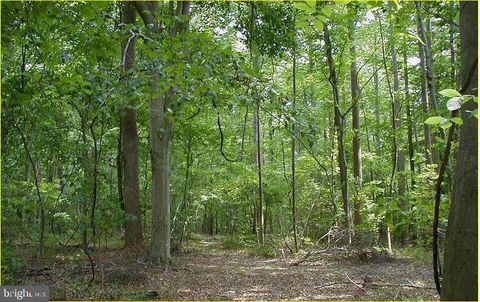 12605 CEDARVILLE ROAD BRANDYWINE MD 20613