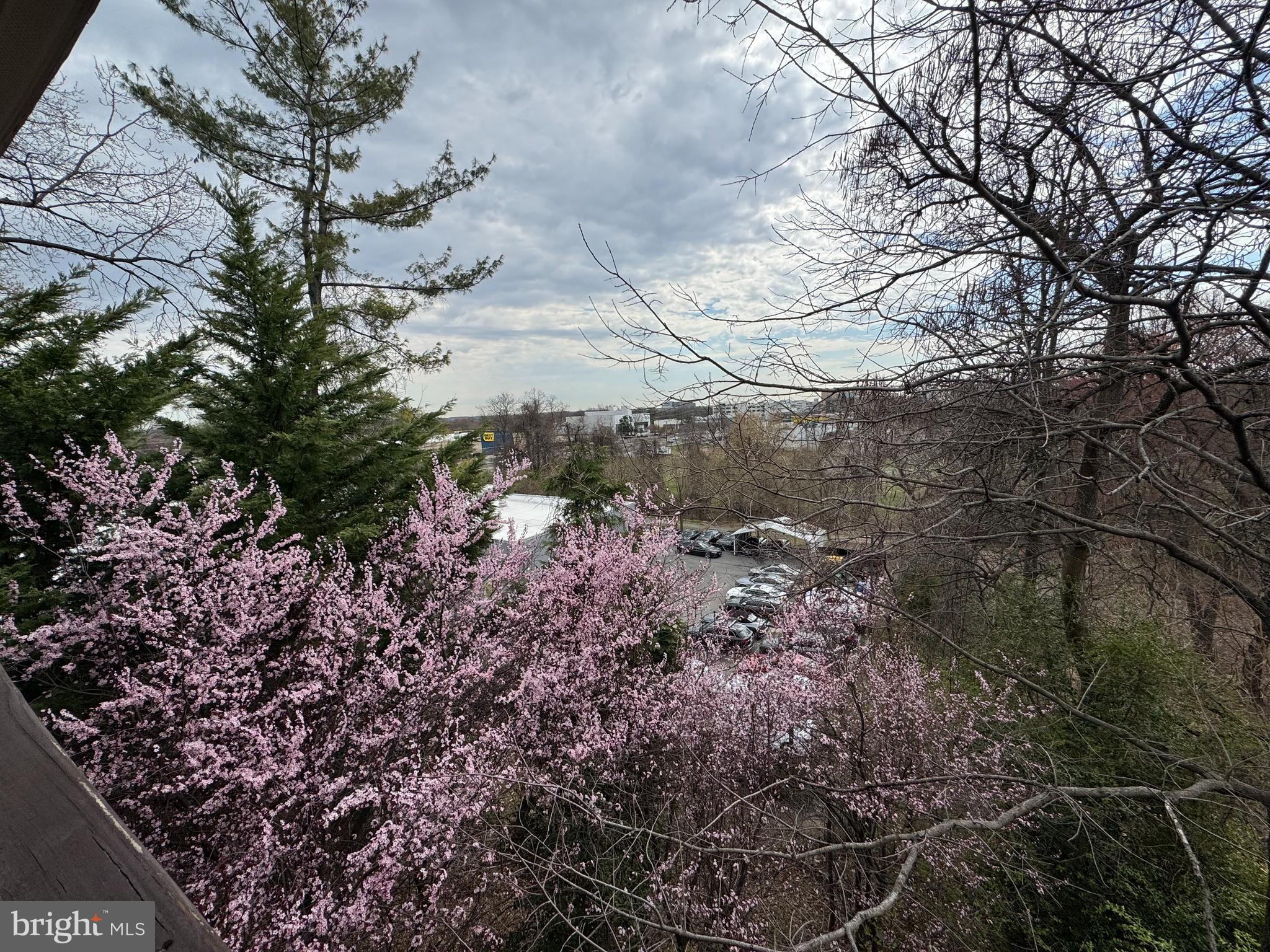 WOODMONT SPRINGS - Residential