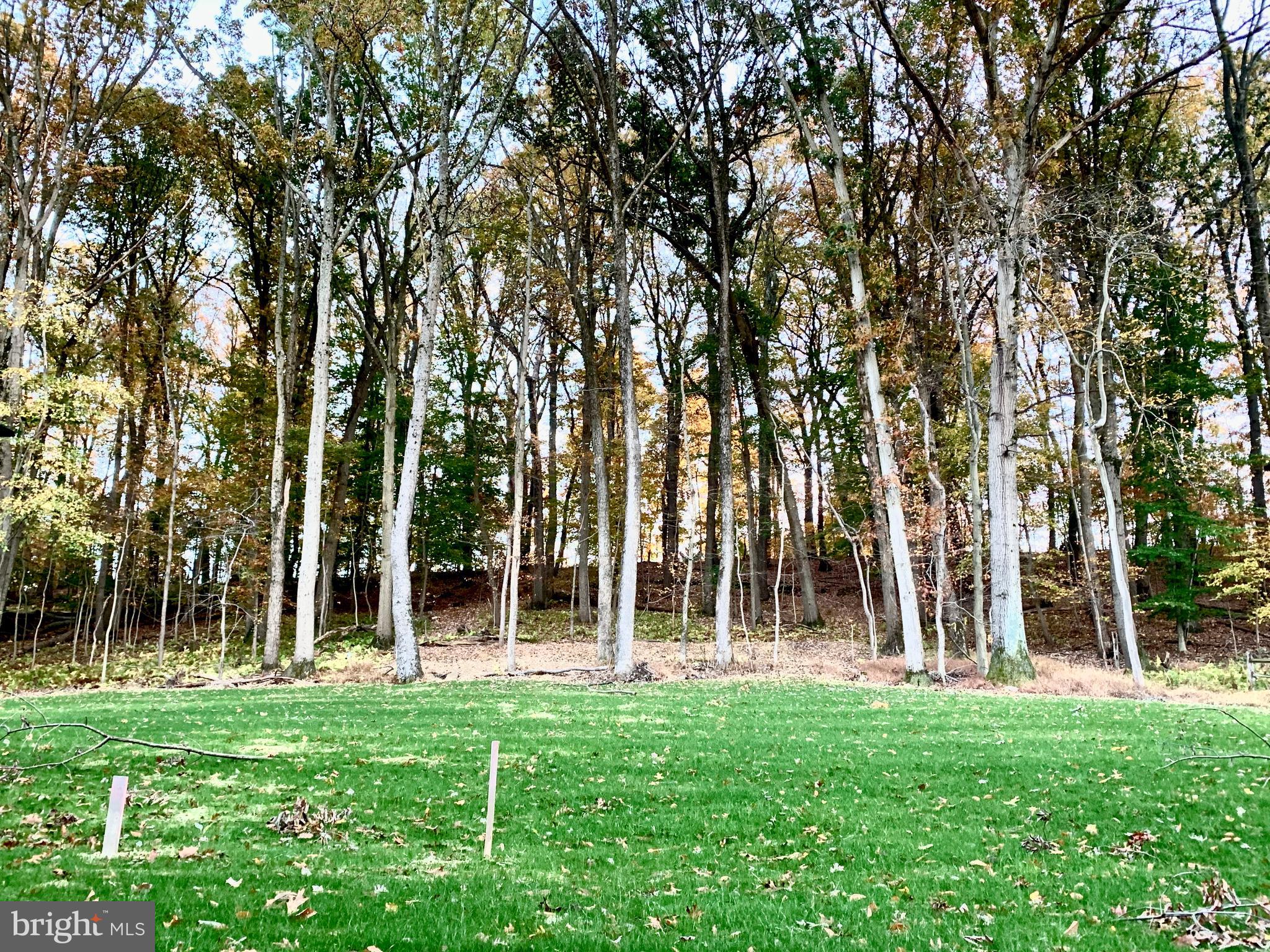 GREENSPRING VALLEY - Residential