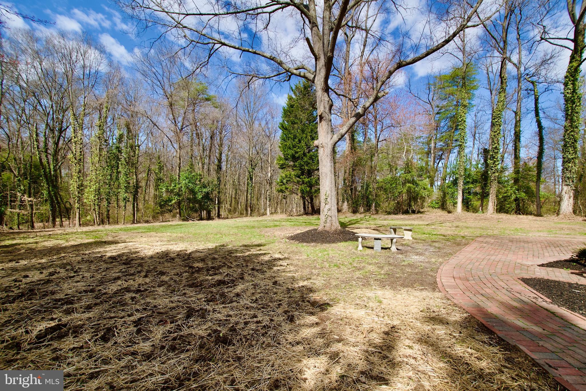 SPRINGVALE - Residential