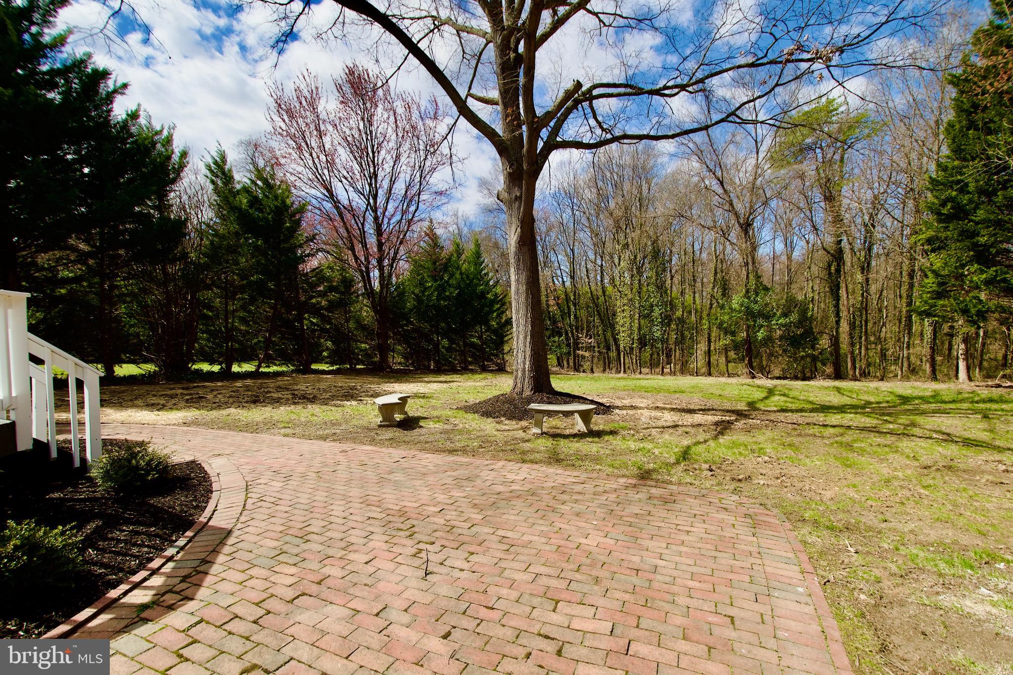 SPRINGVALE - Residential