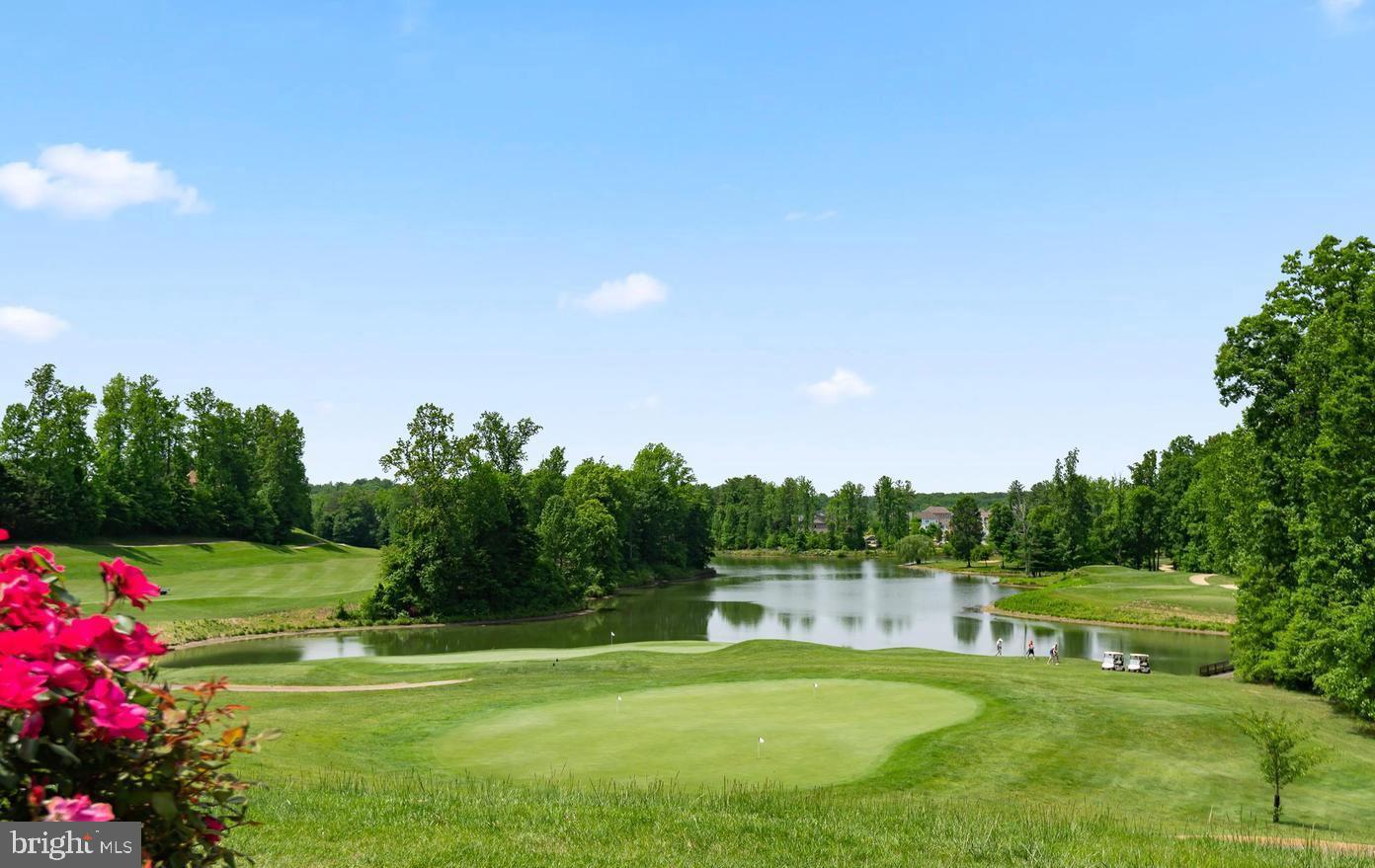 BEECH TREE EAST VILLAGE - Residential