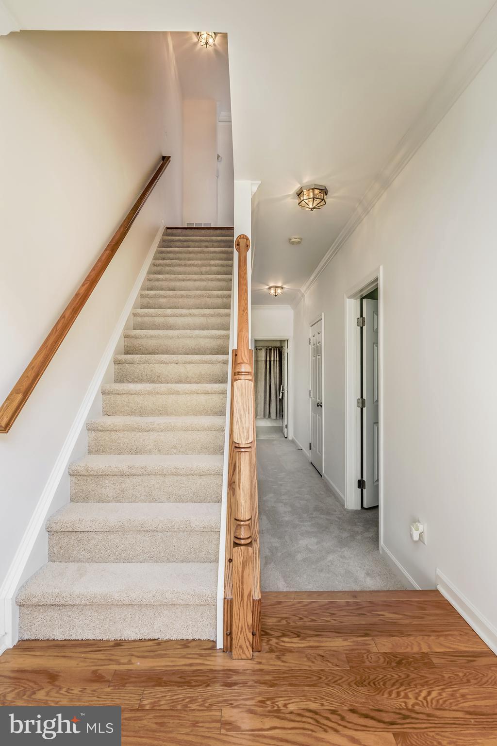 AMBERLEA AT SOUTH RIDING - Residential