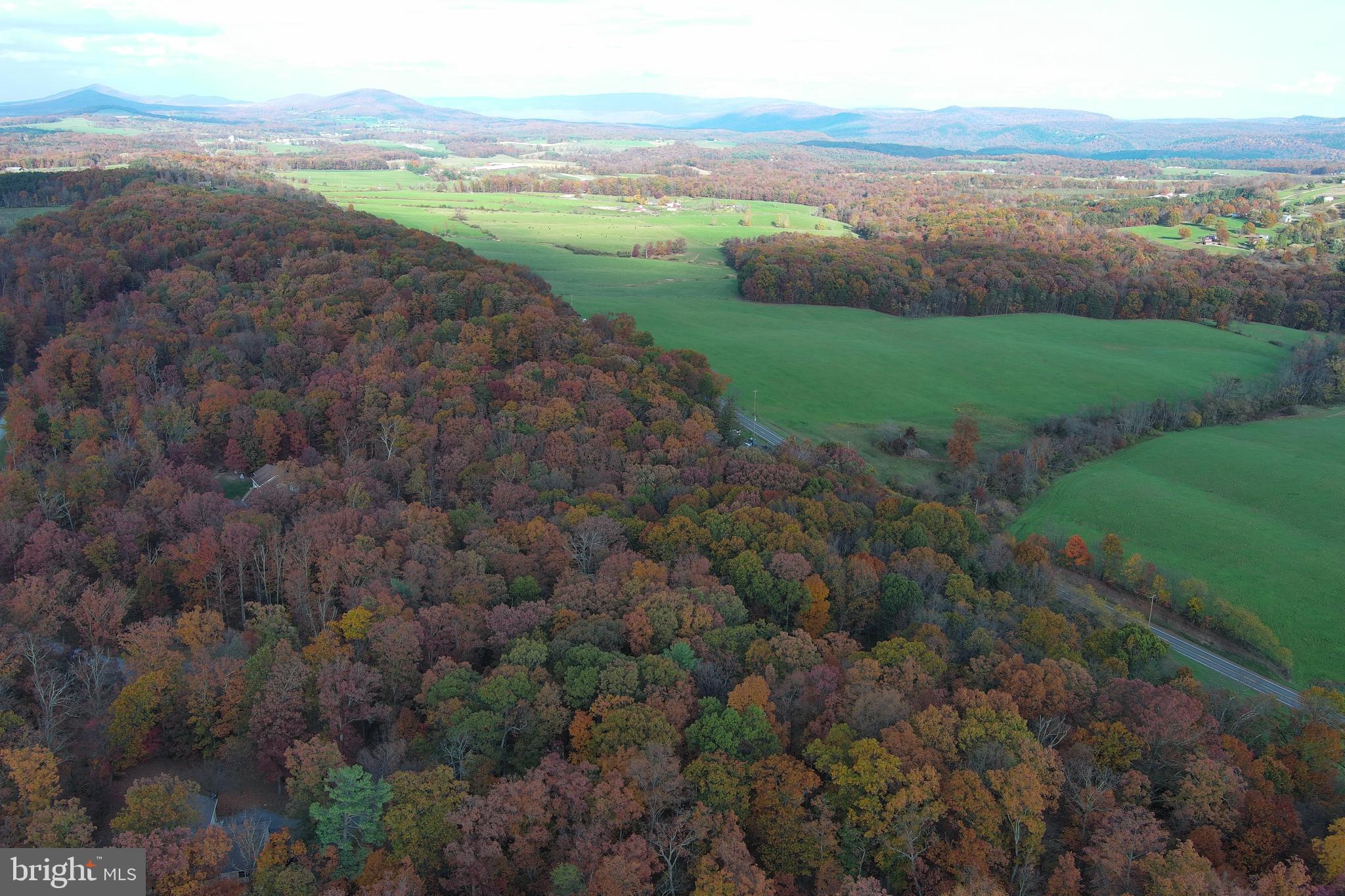 BLACKTHORN RIDGE ESTATES - Residential