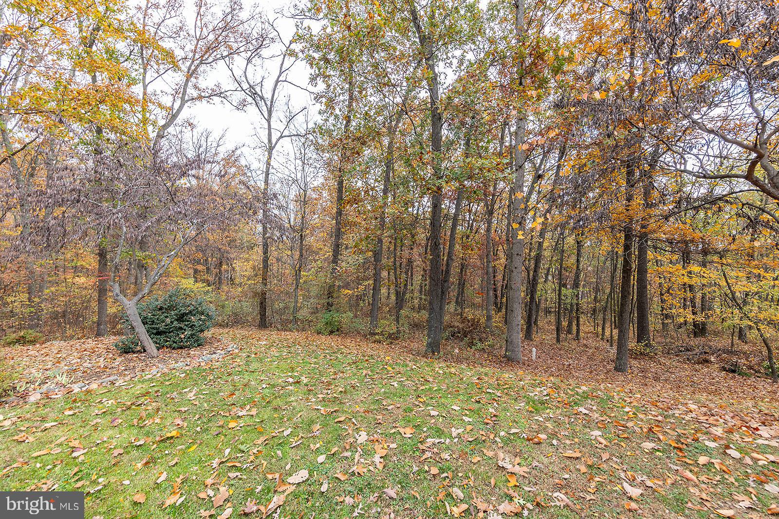 BLACKTHORN RIDGE ESTATES - Residential