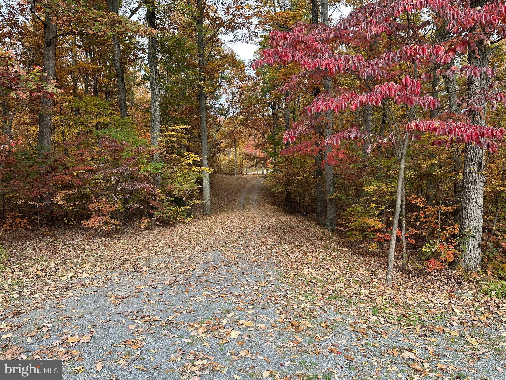 BLACKTHORN RIDGE ESTATES - Residential