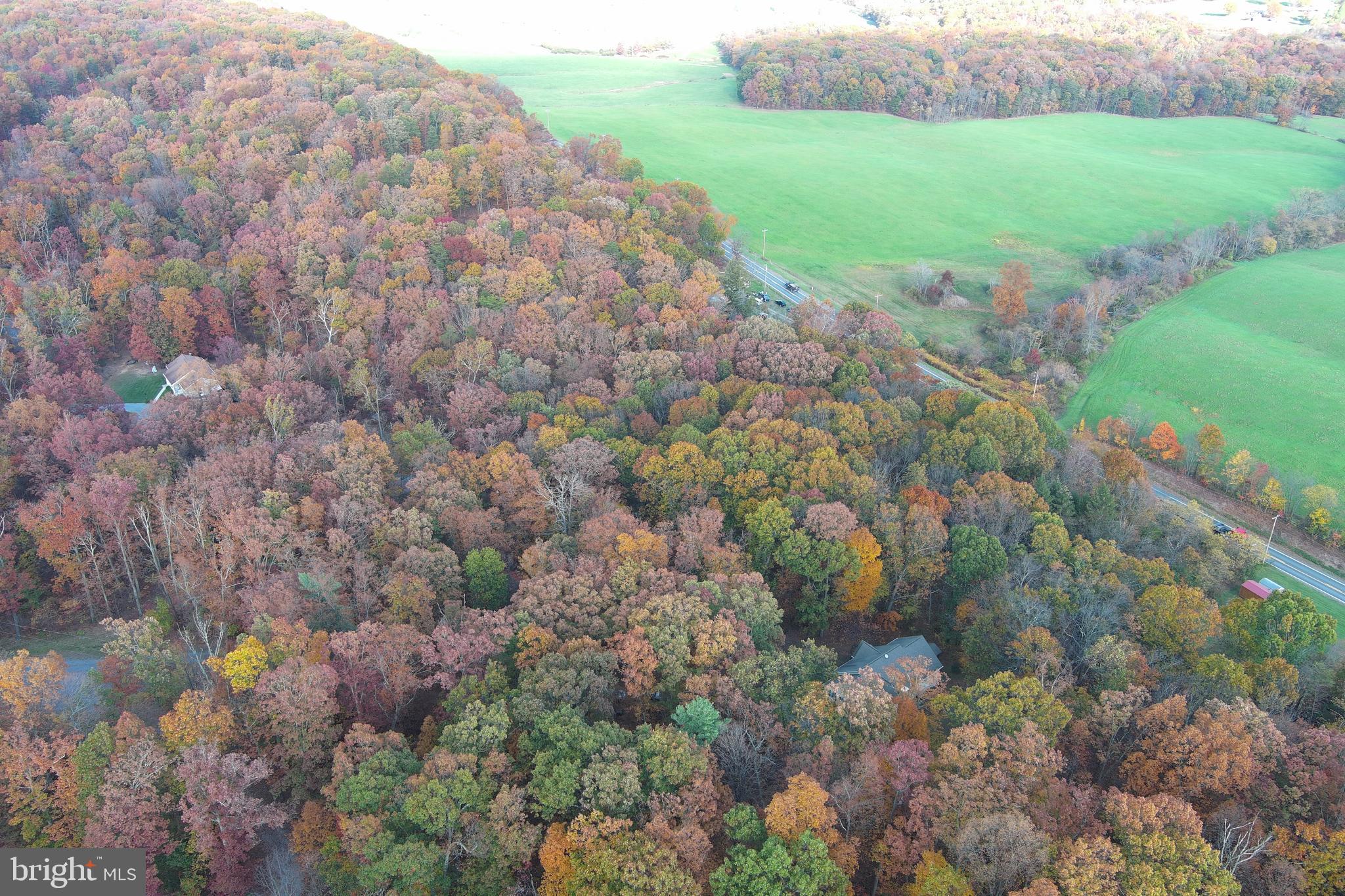 BLACKTHORN RIDGE ESTATES - Residential