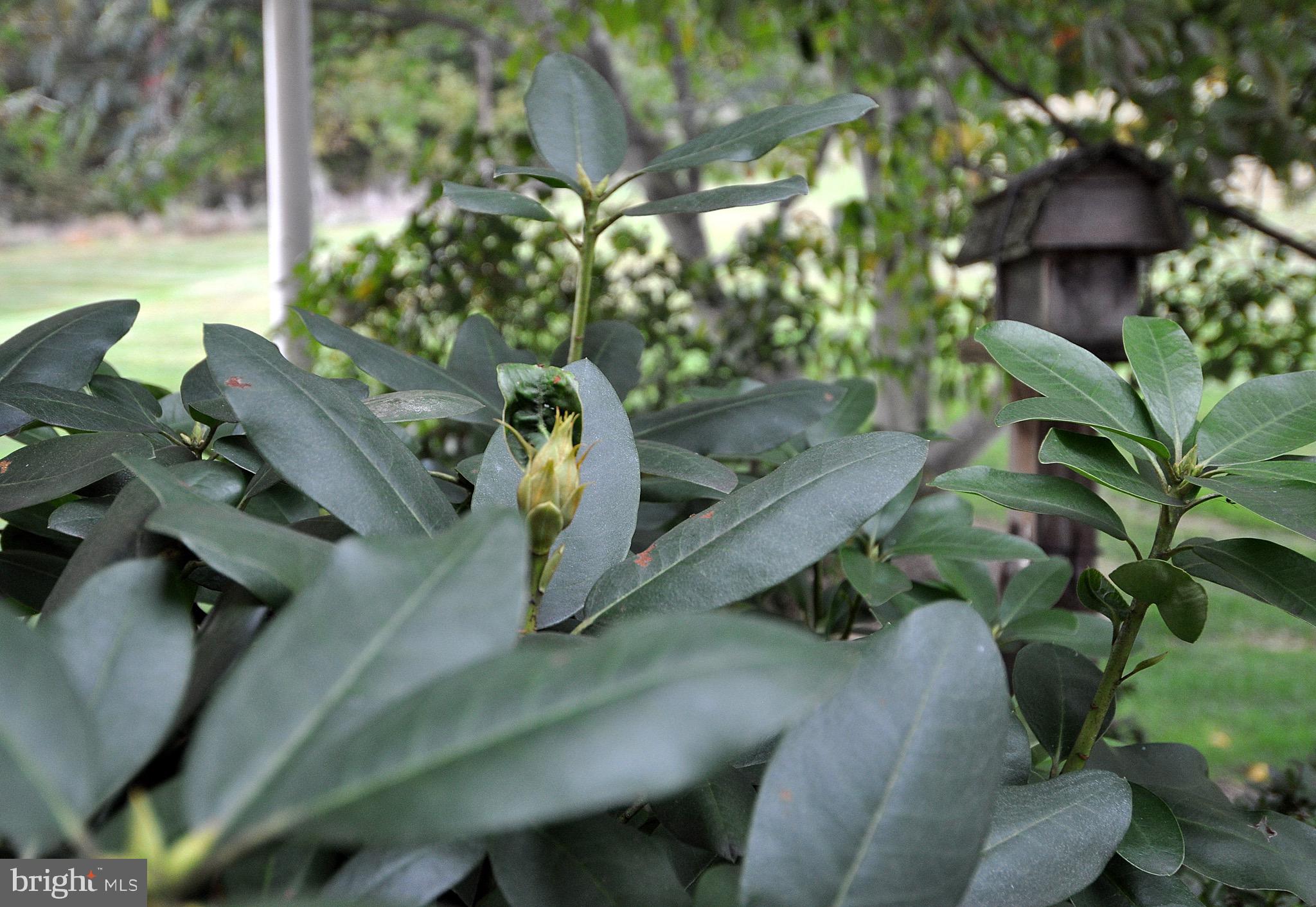 BERKELEY GARDENS - Residential