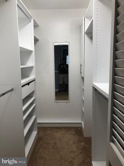 STEWART LEVEL - Residential Lease